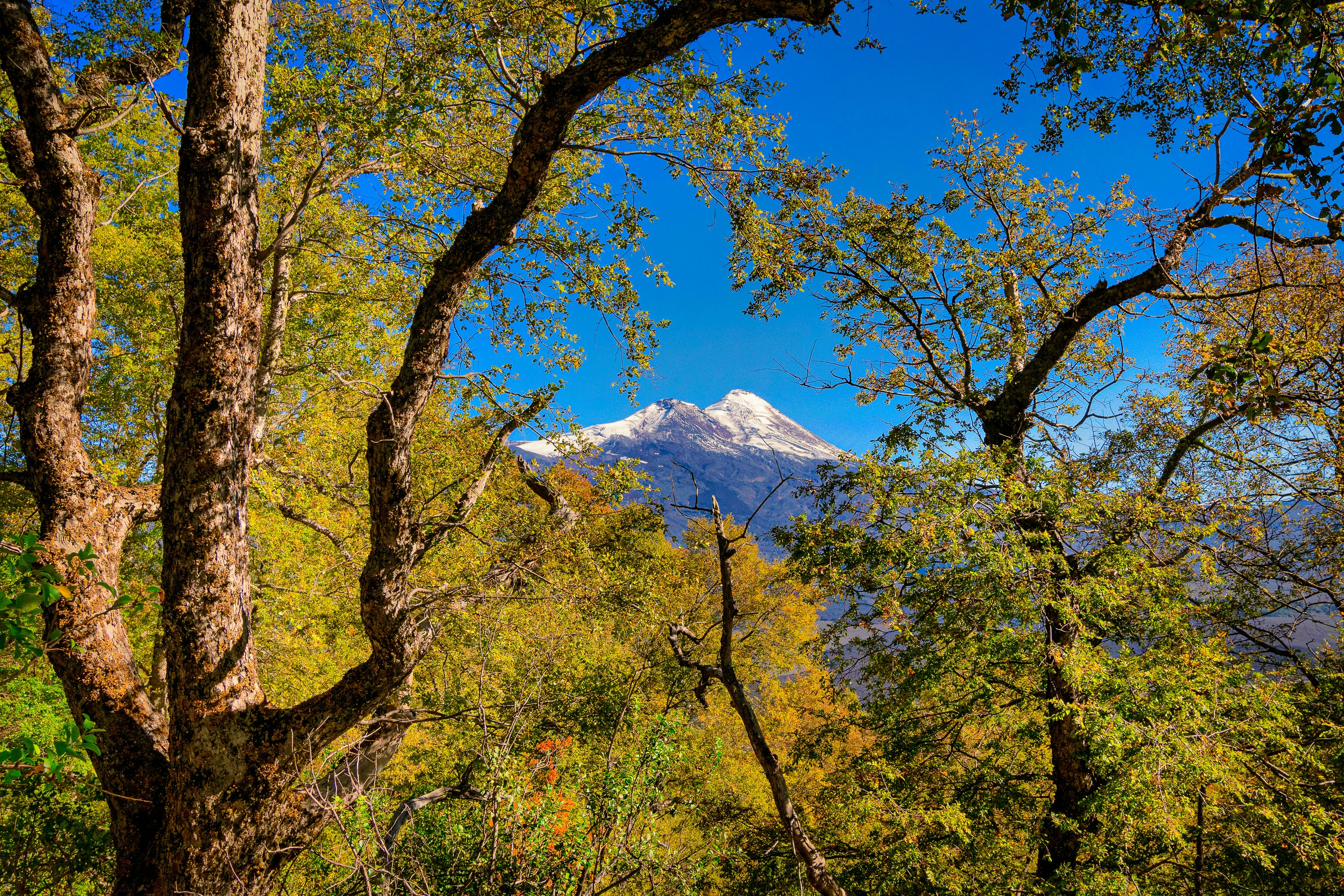 Photo by franz_nawrath