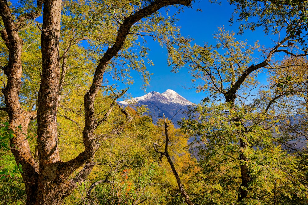 a mountain in the distance