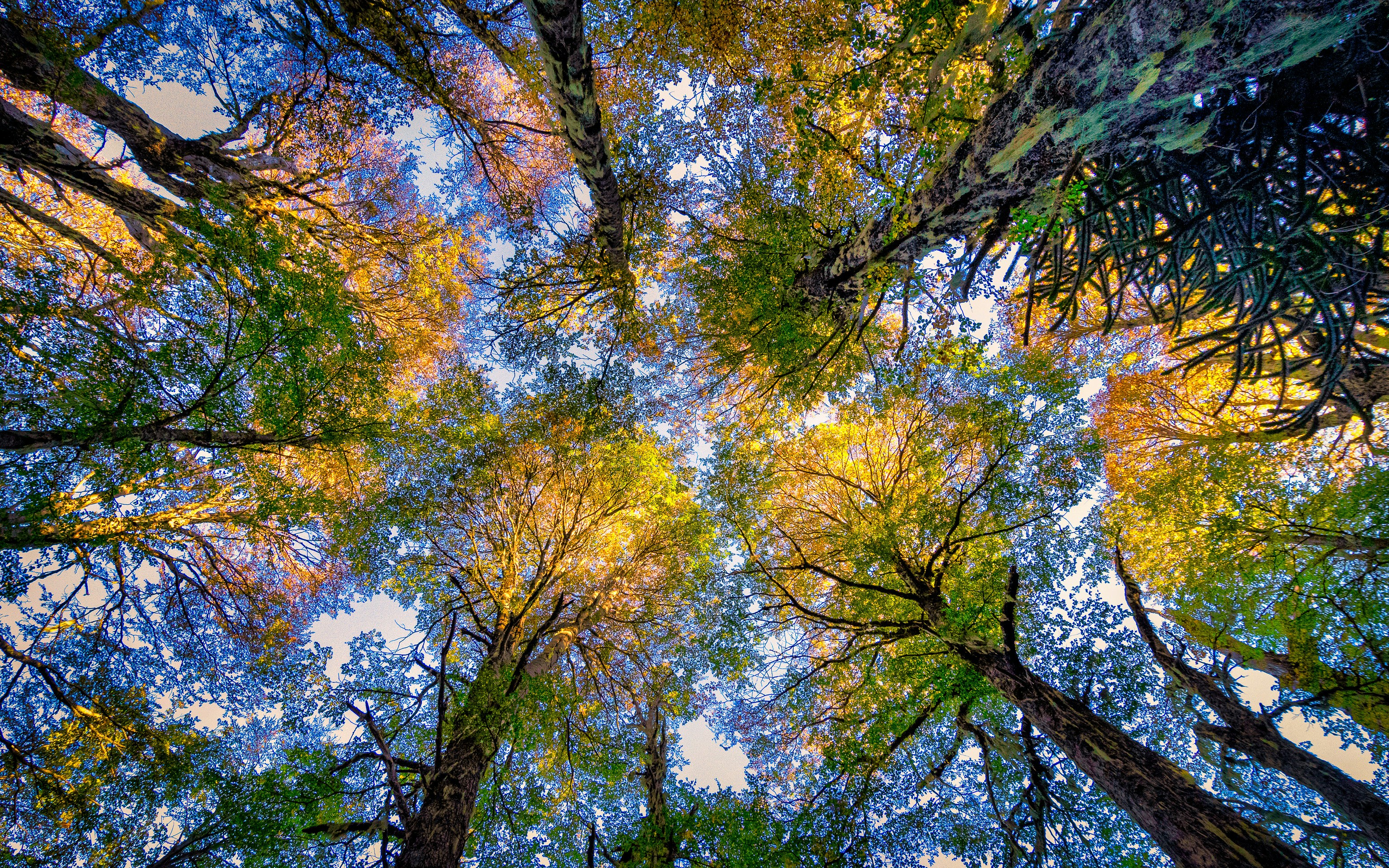 Photo by franz_nawrath