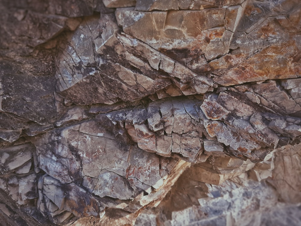 a close-up of a rock