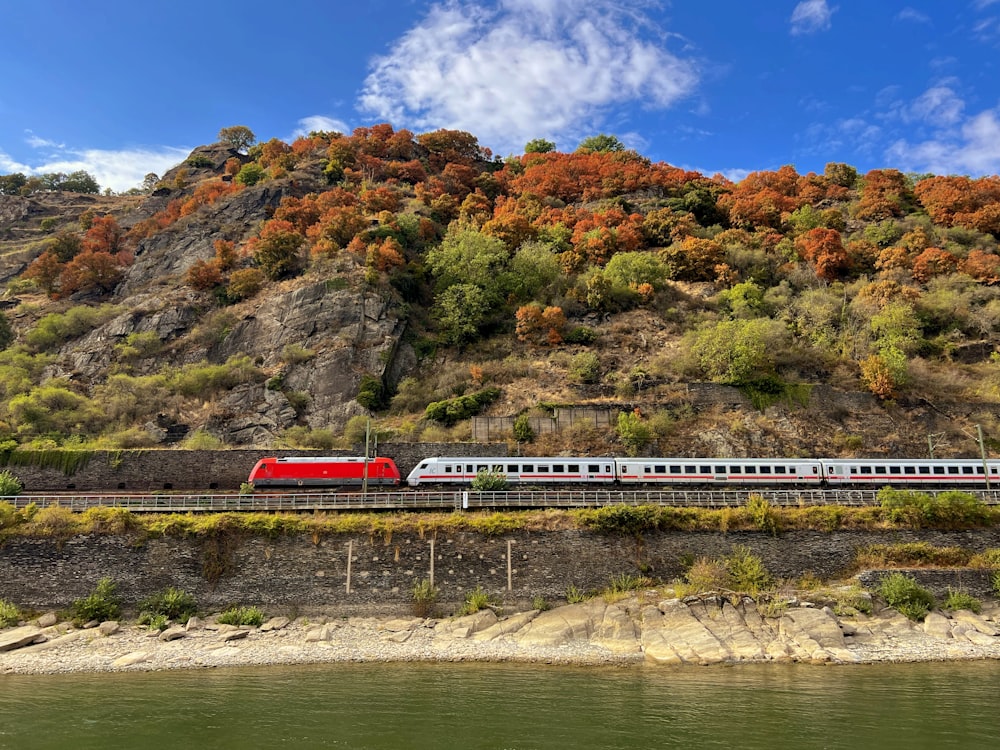 a train on the railway tracks