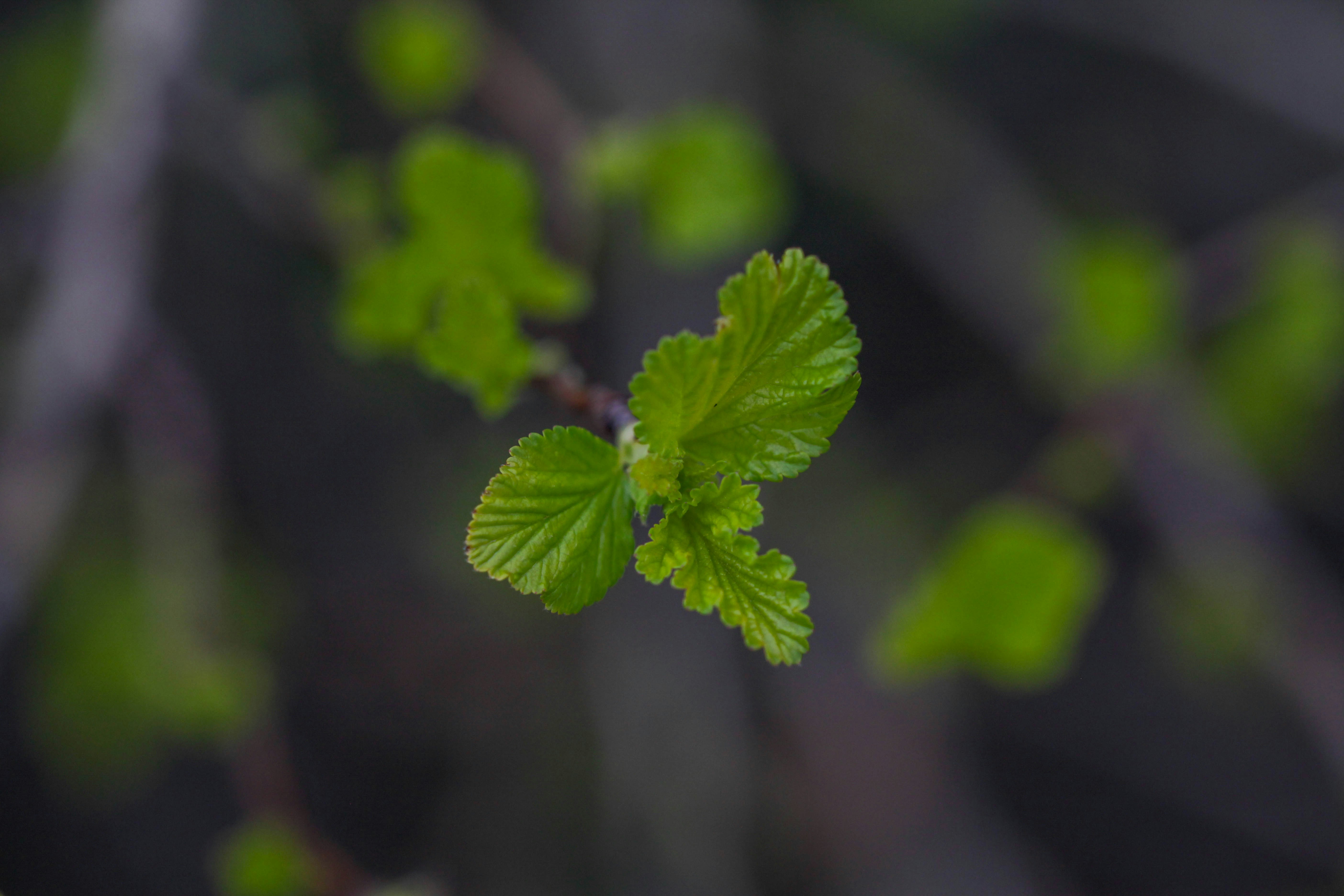 Photo by patric_magi