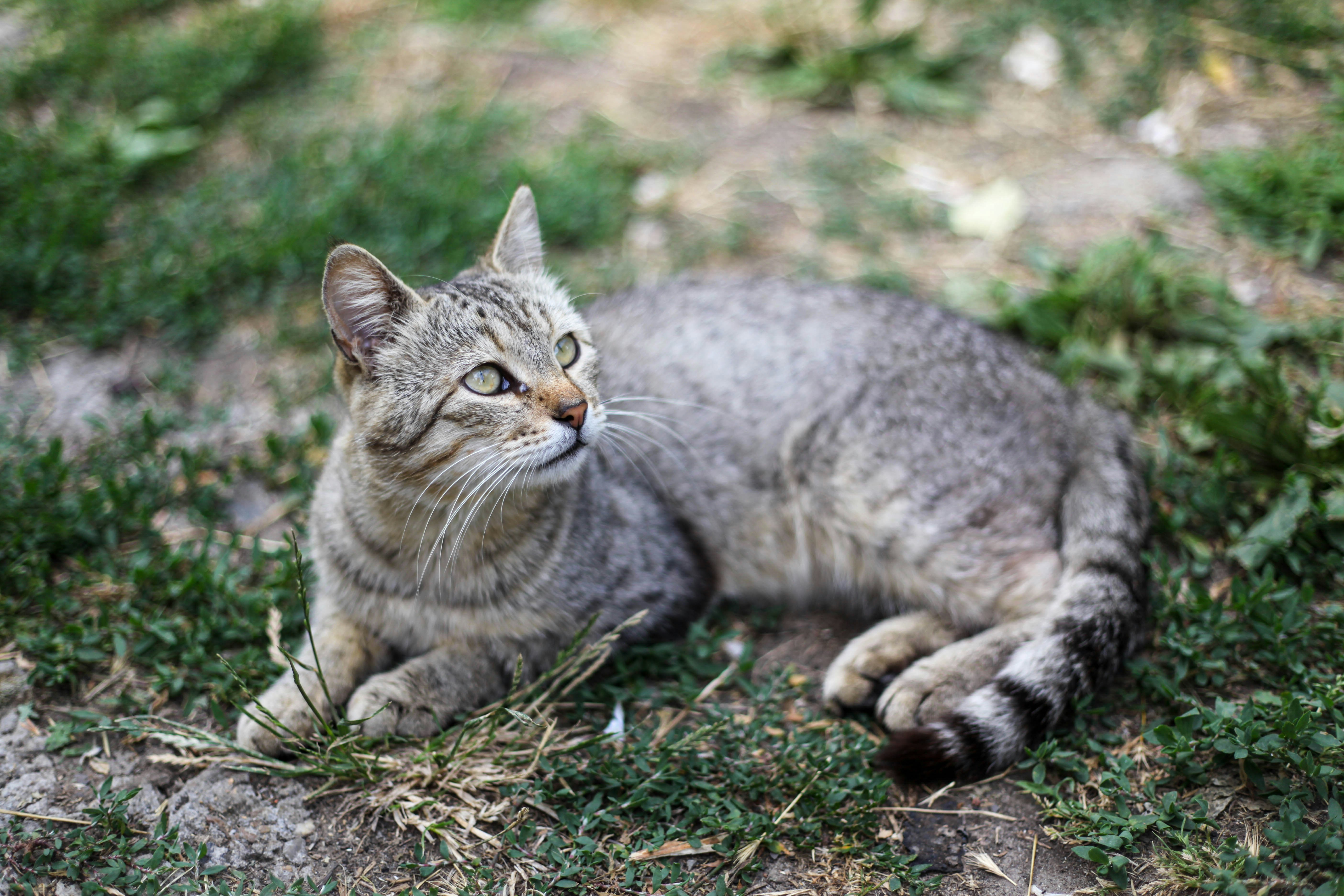 Photo by patric_magi