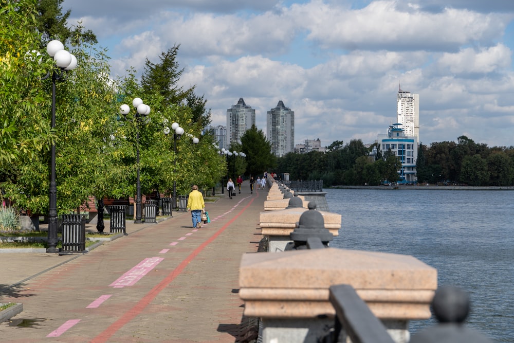 a walkway with benches and trees by a body of water with buildings in the background