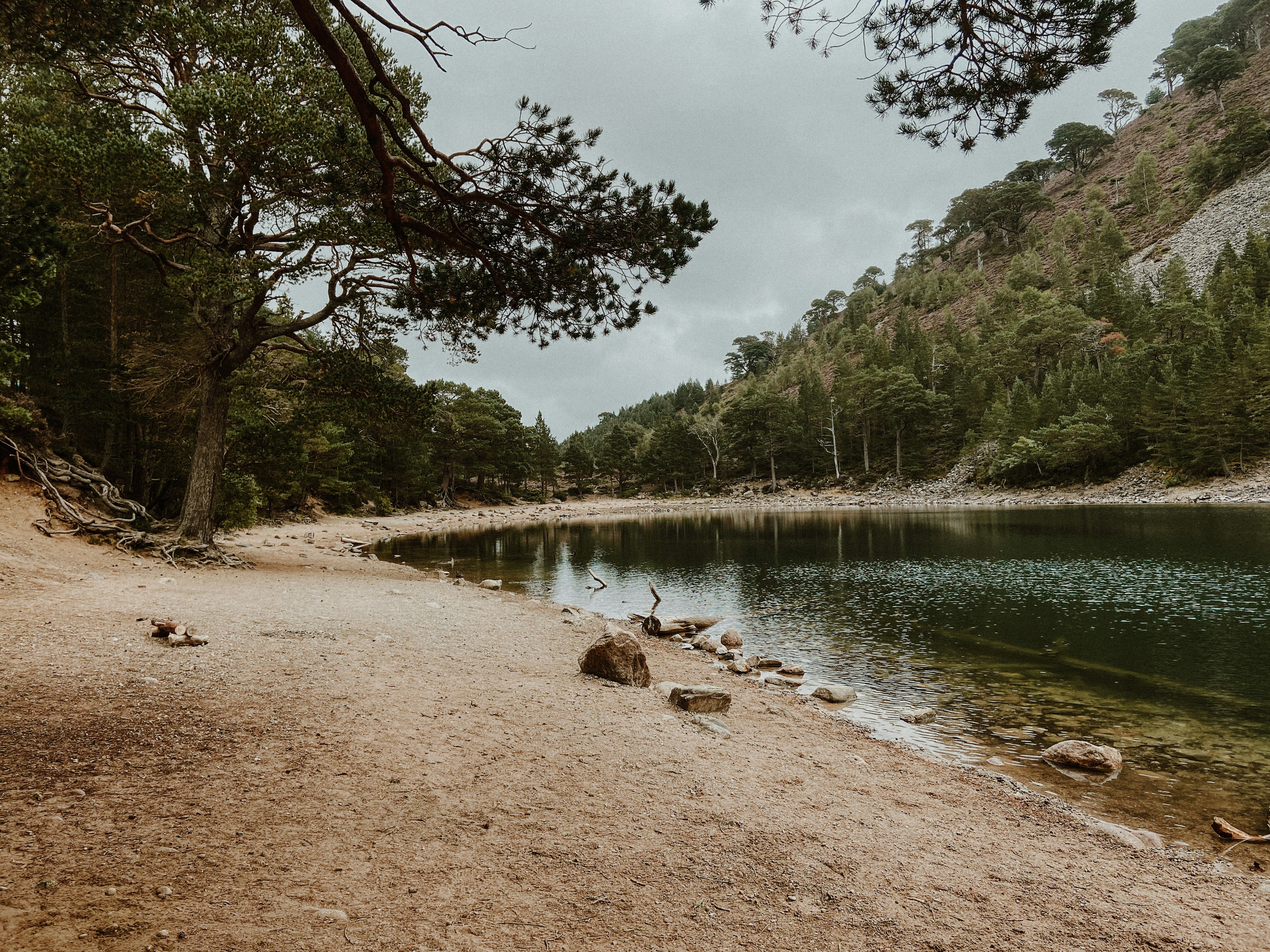 a lake surrounded by trees and mountains