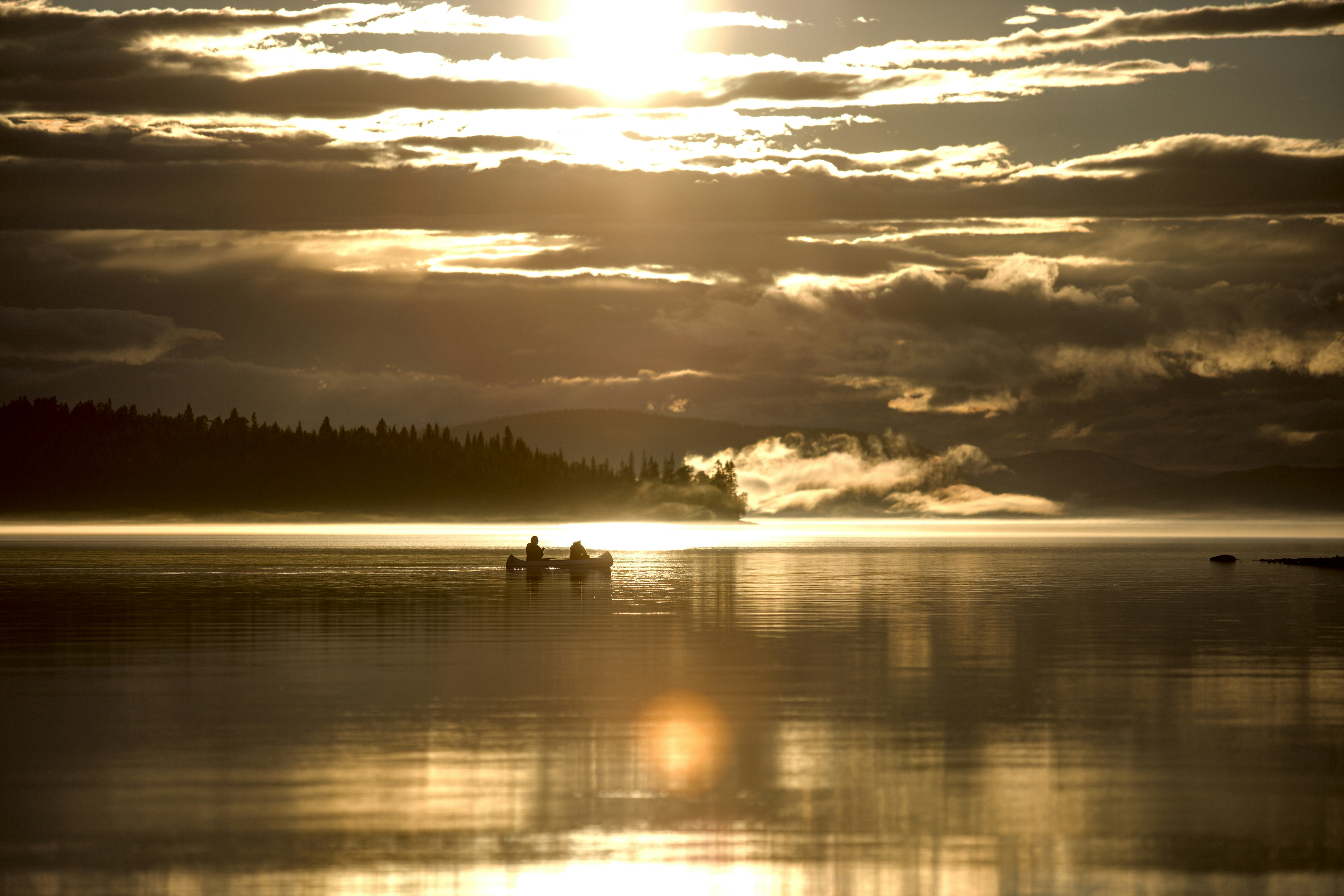 Photo by nicolarichli