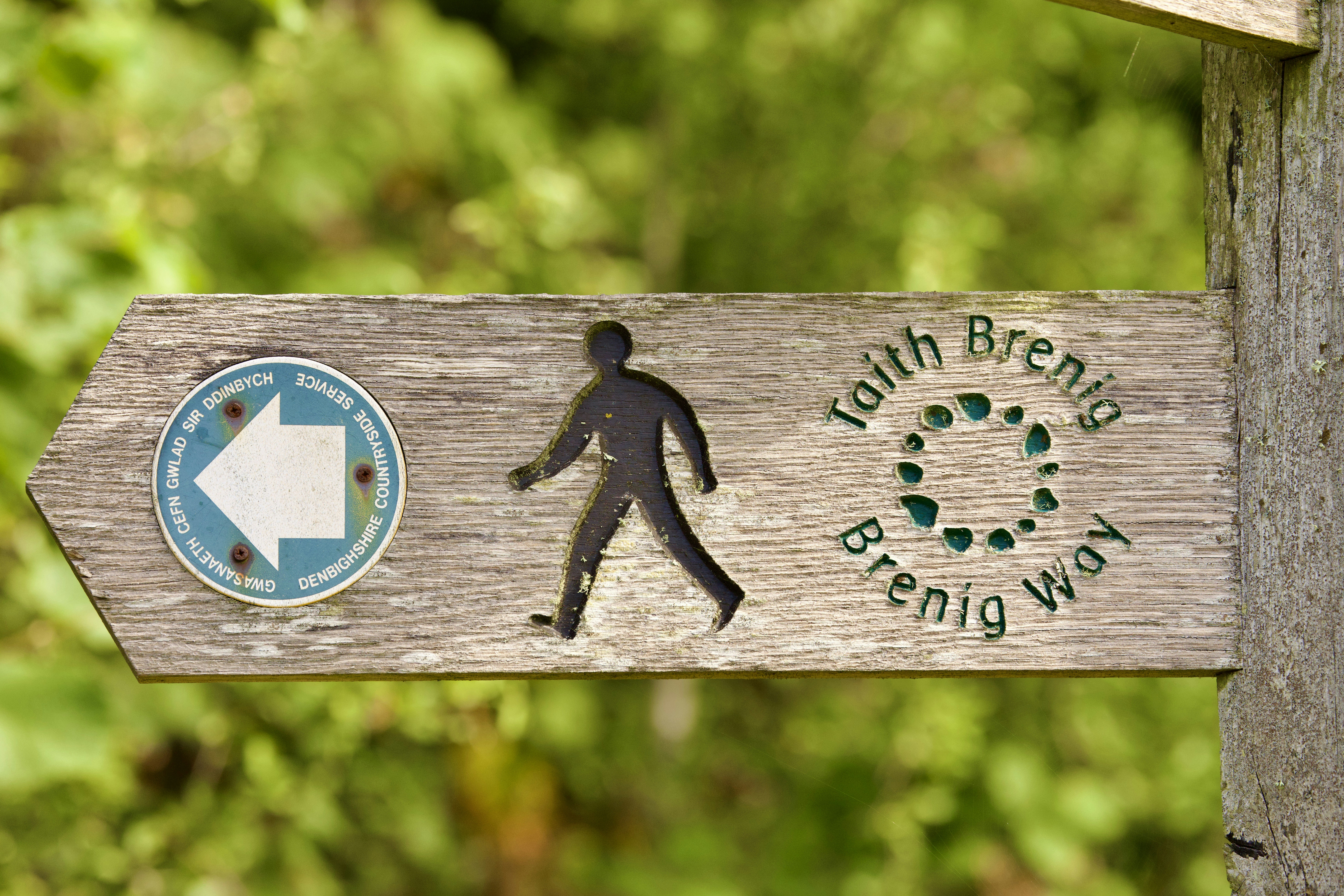 20-Min Walks Can Shift Brain Links in MS Patients