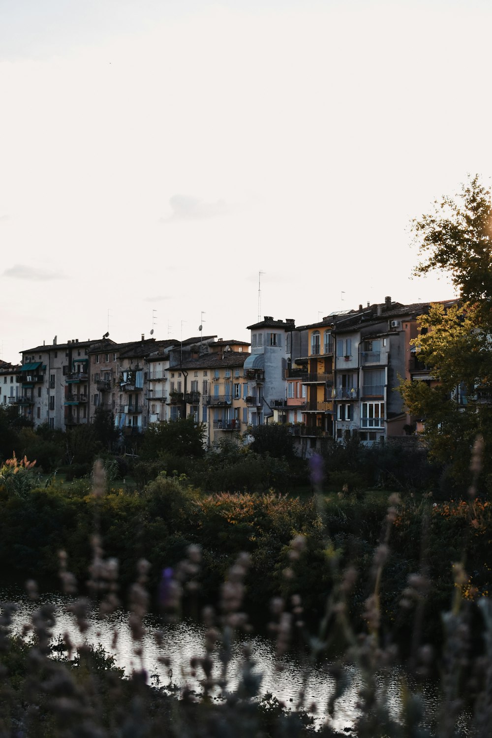 a group of buildings with trees in front of them