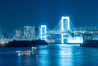 a bridge over water with a city in the background
