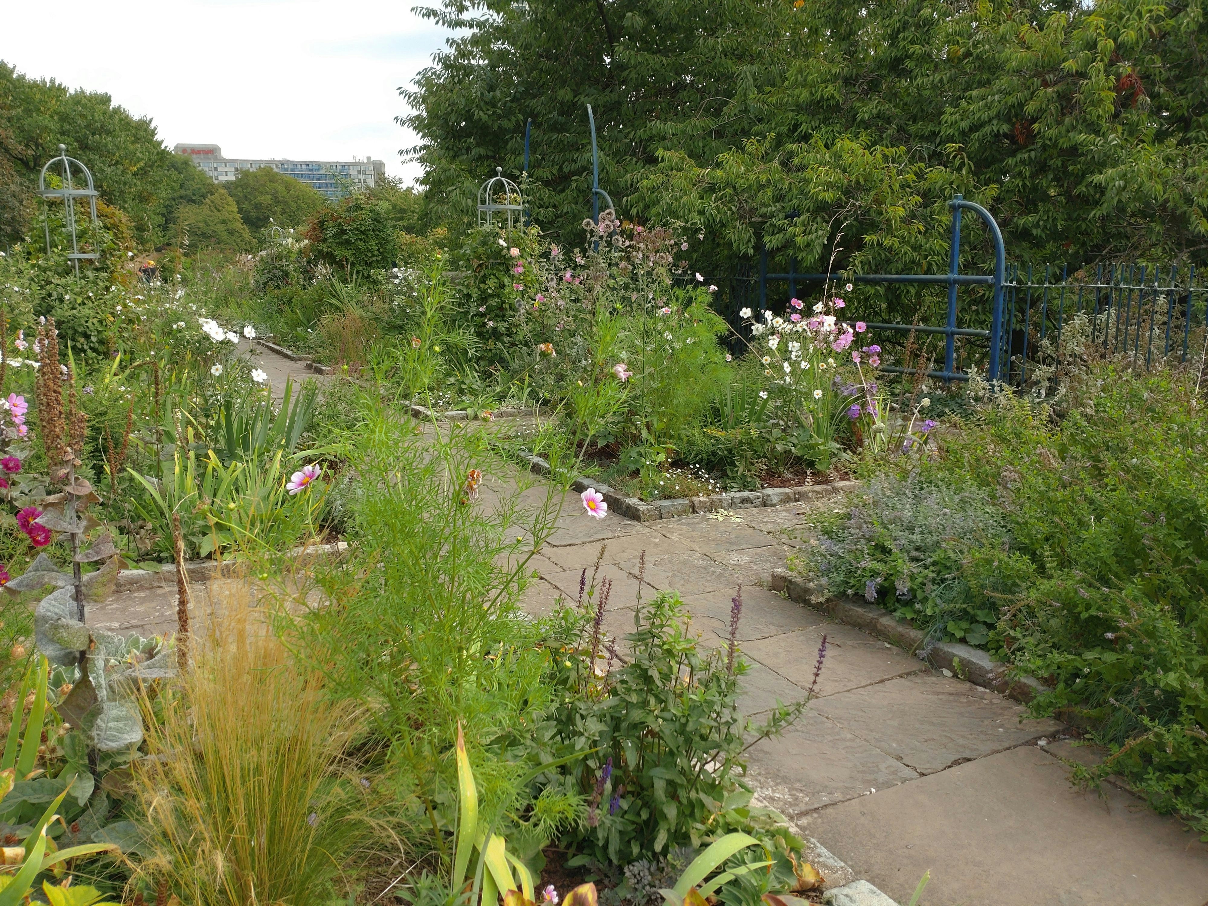 a garden with a blue fence