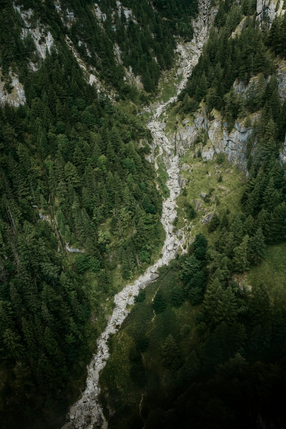 a waterfall in a forest