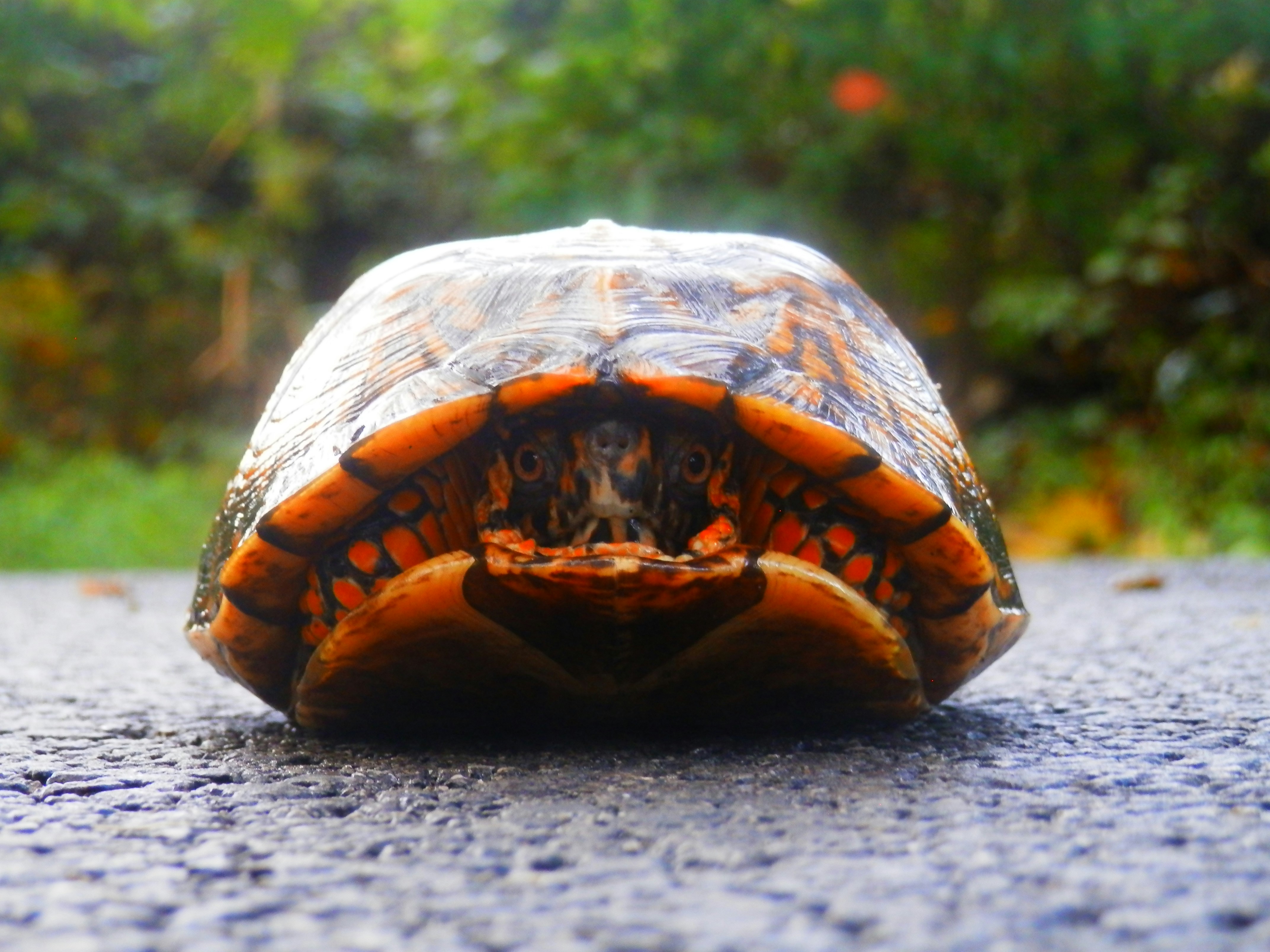 Photo by whereabouts