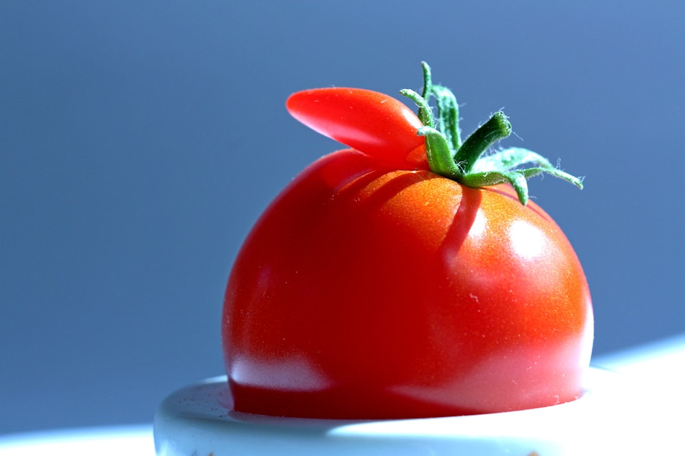 a red tomato with a stem