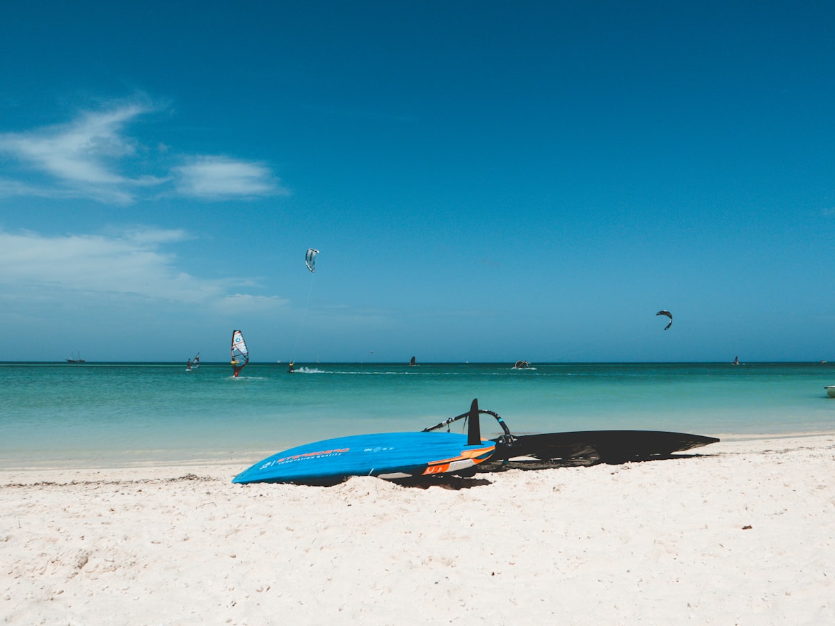 Eagle Beach Aruba — wide white sand with two divi-divi trees and turquoise sea