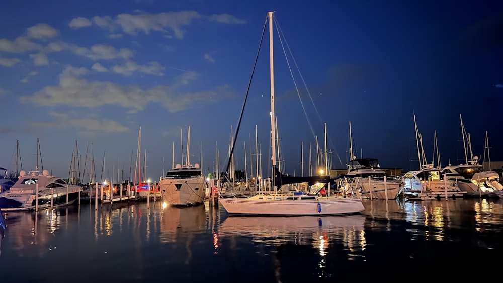 a group of boats in a harbor