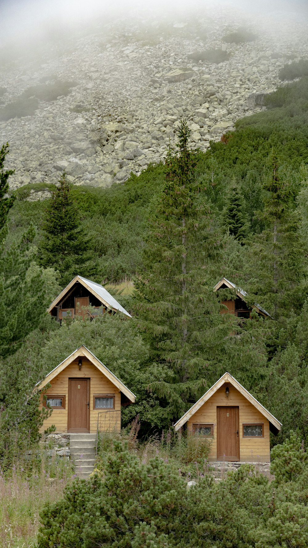 Ein paar Häuser in einem Waldgebiet
