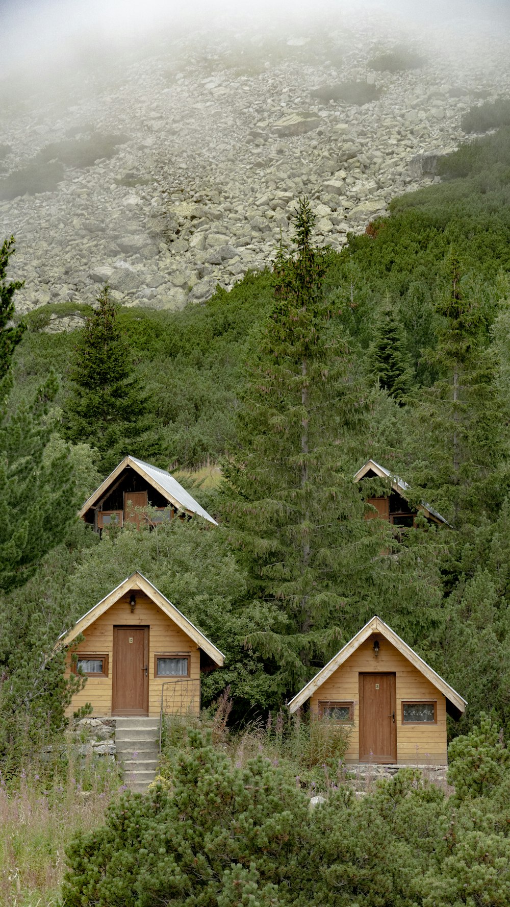 a couple of houses in a wooded area