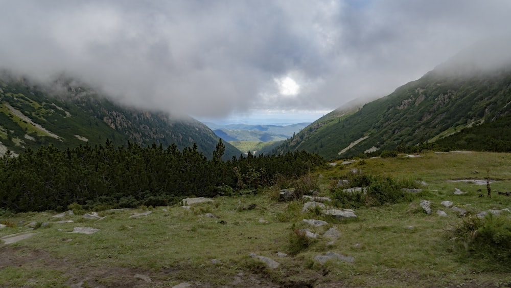 a grassy area with trees and mountains in the background