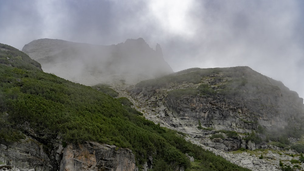 a rocky mountain with trees