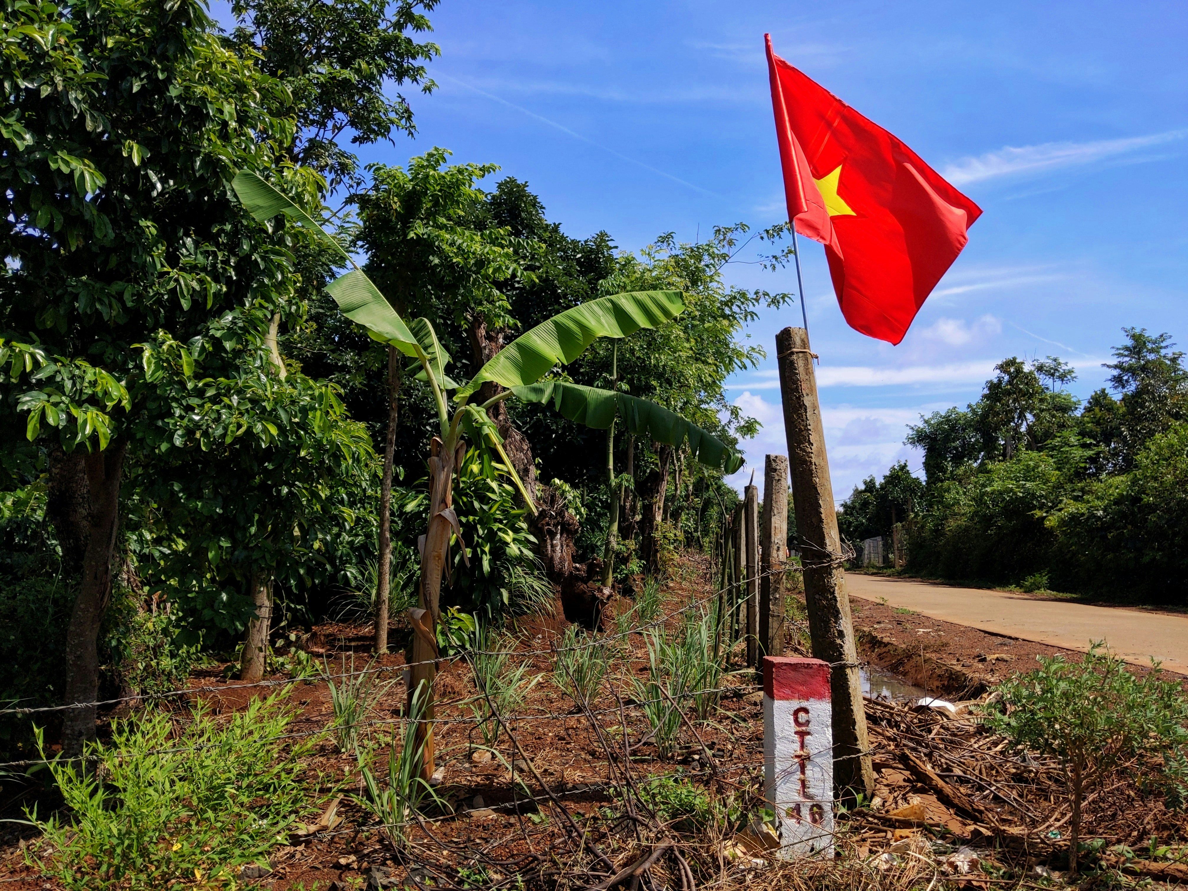 uma bandeira em um mastro