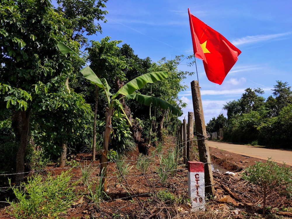 a flag on a pole