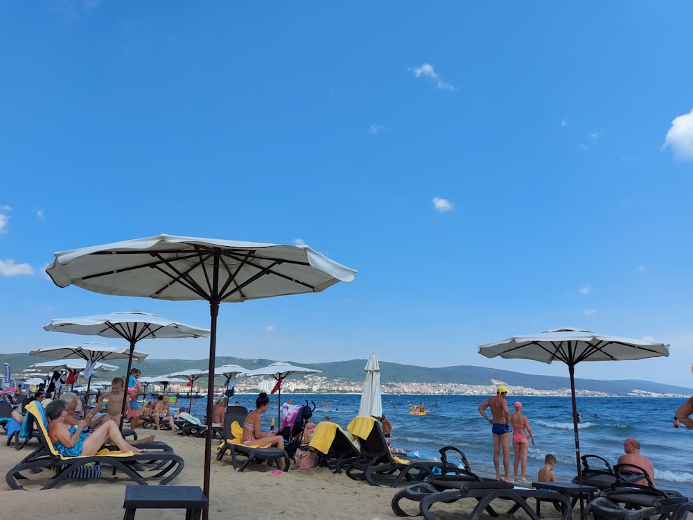 people on a beach