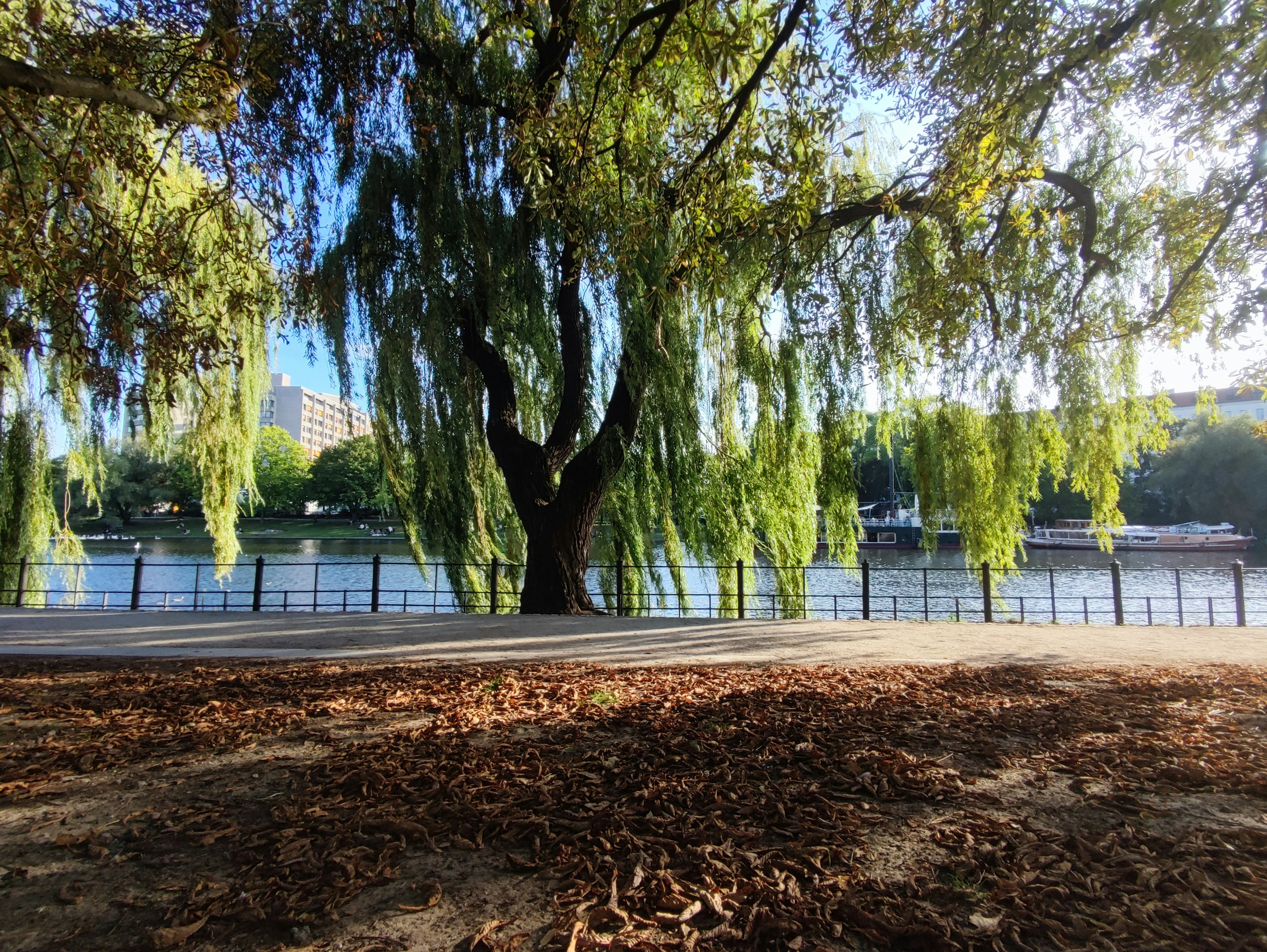 Photo by glaucopater