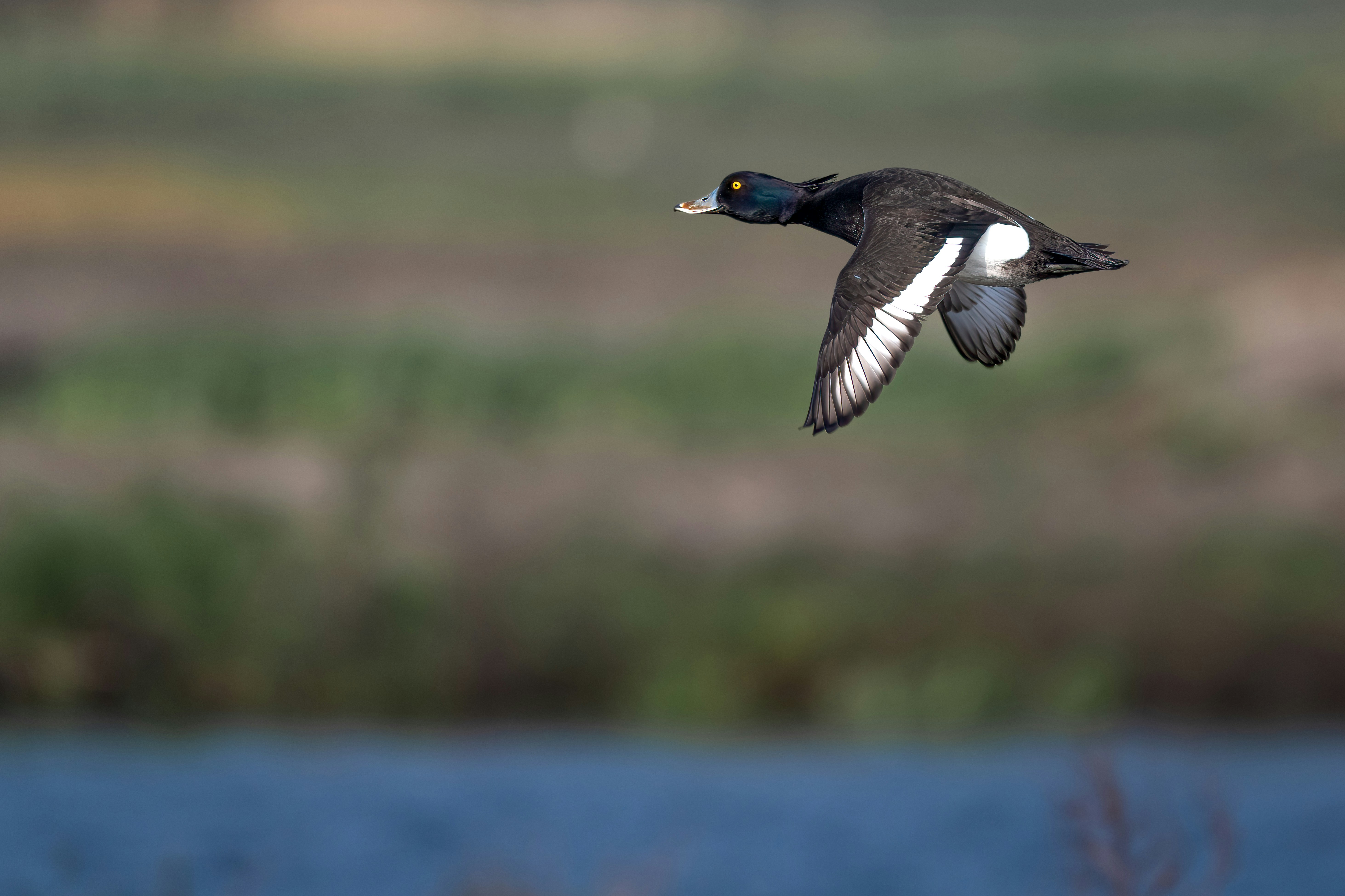 Photo by vincentvanzalinge