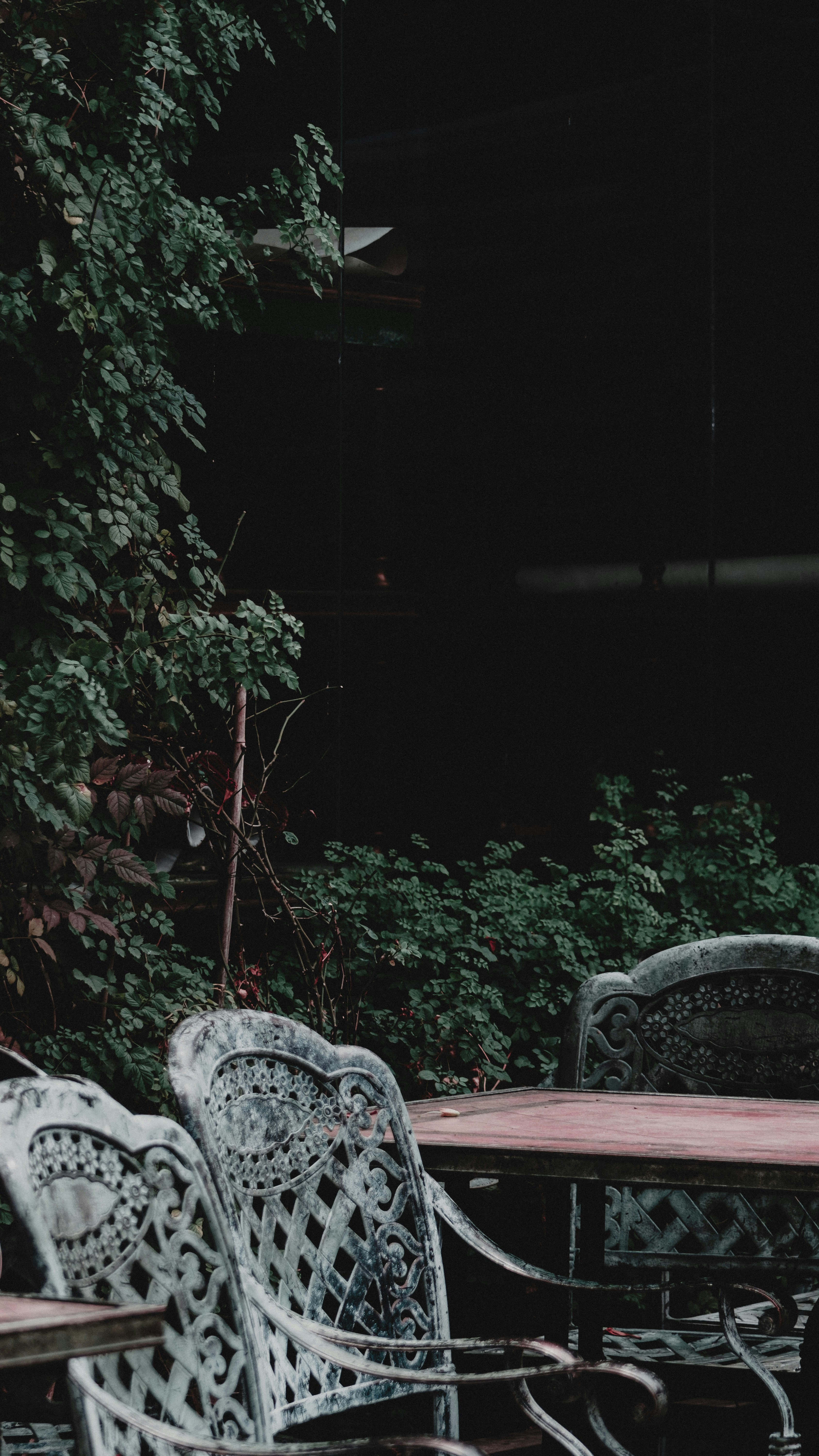 Photo by xiexianghua