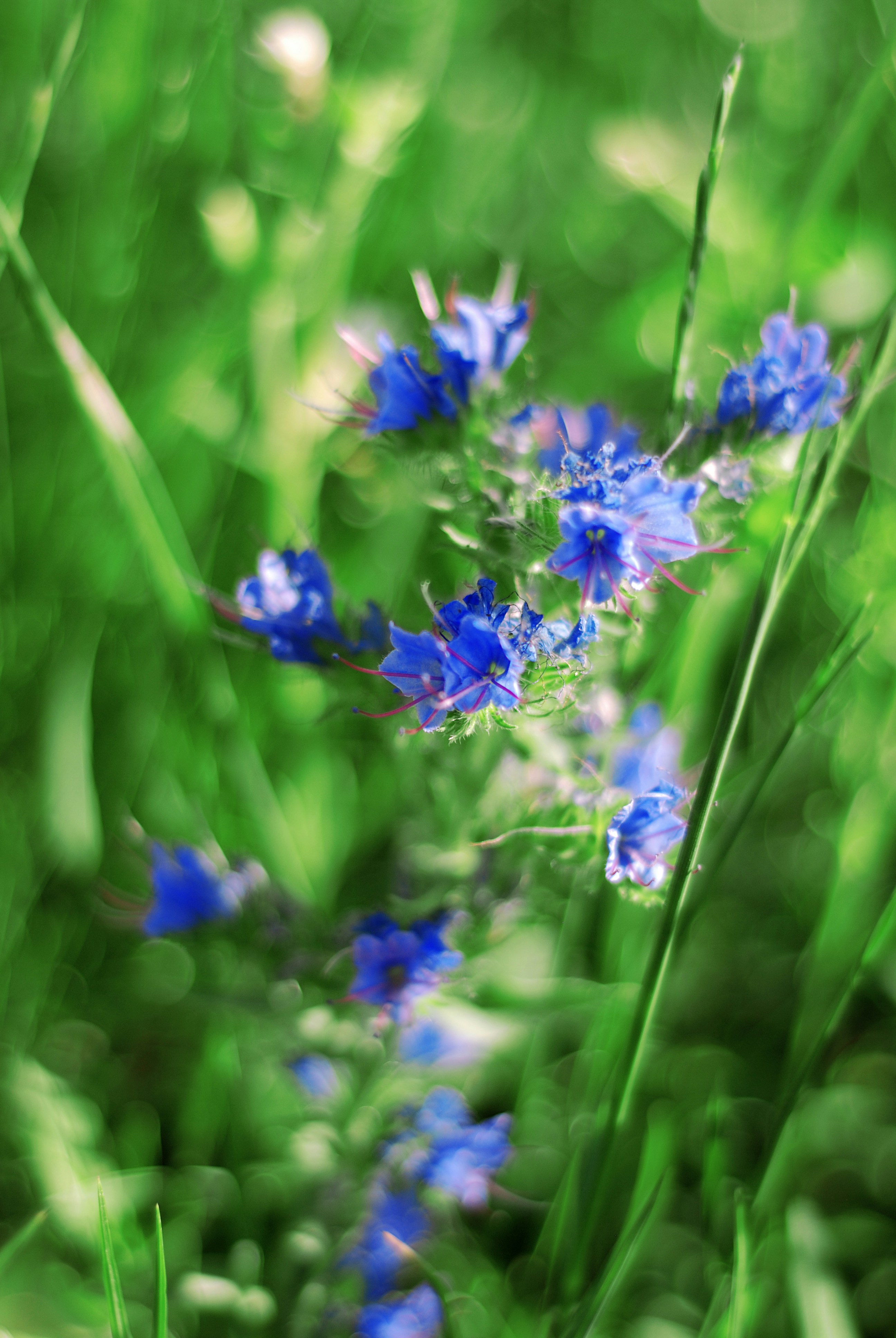 Photo by kovalskihelga