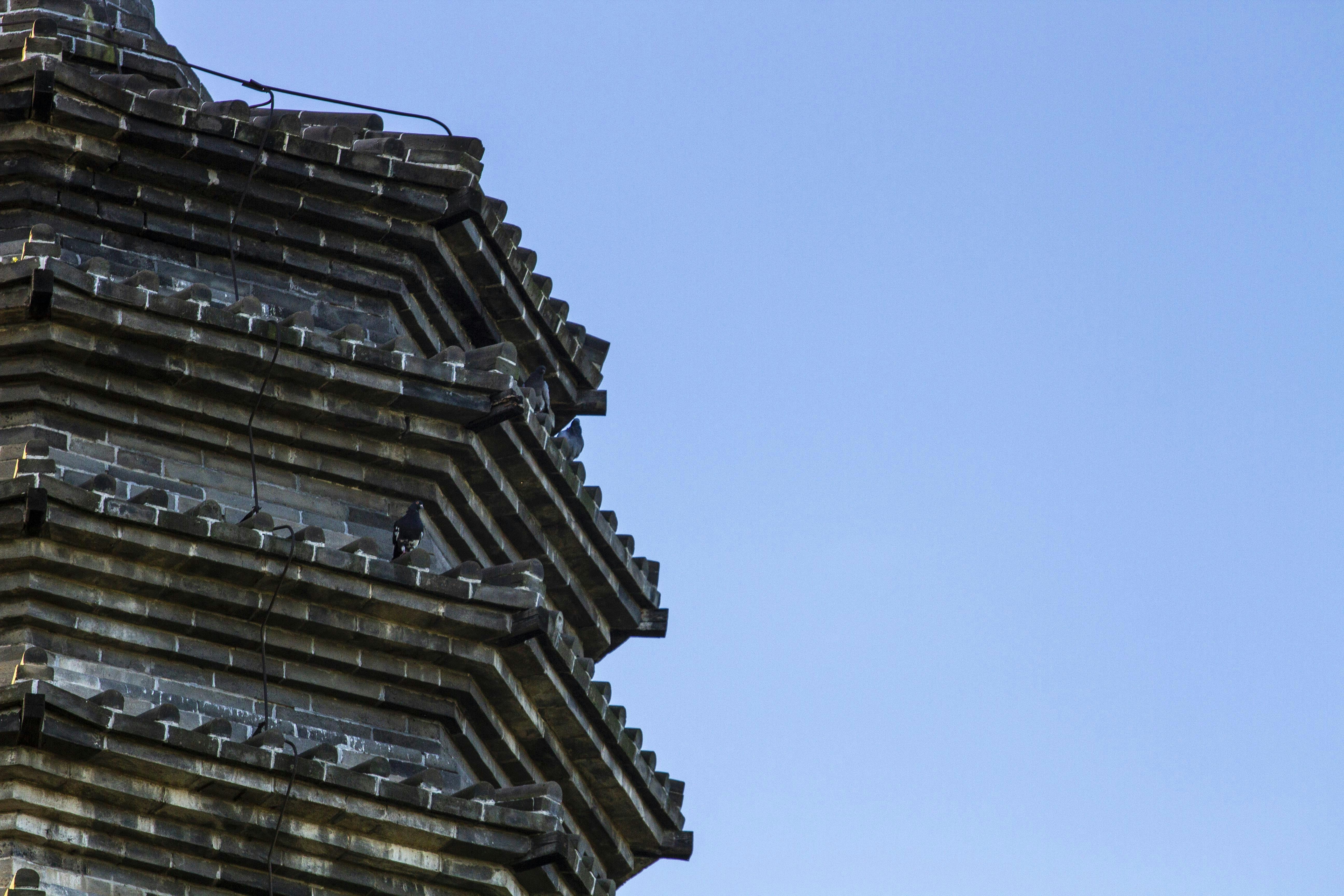 Image of the Tower of Babel