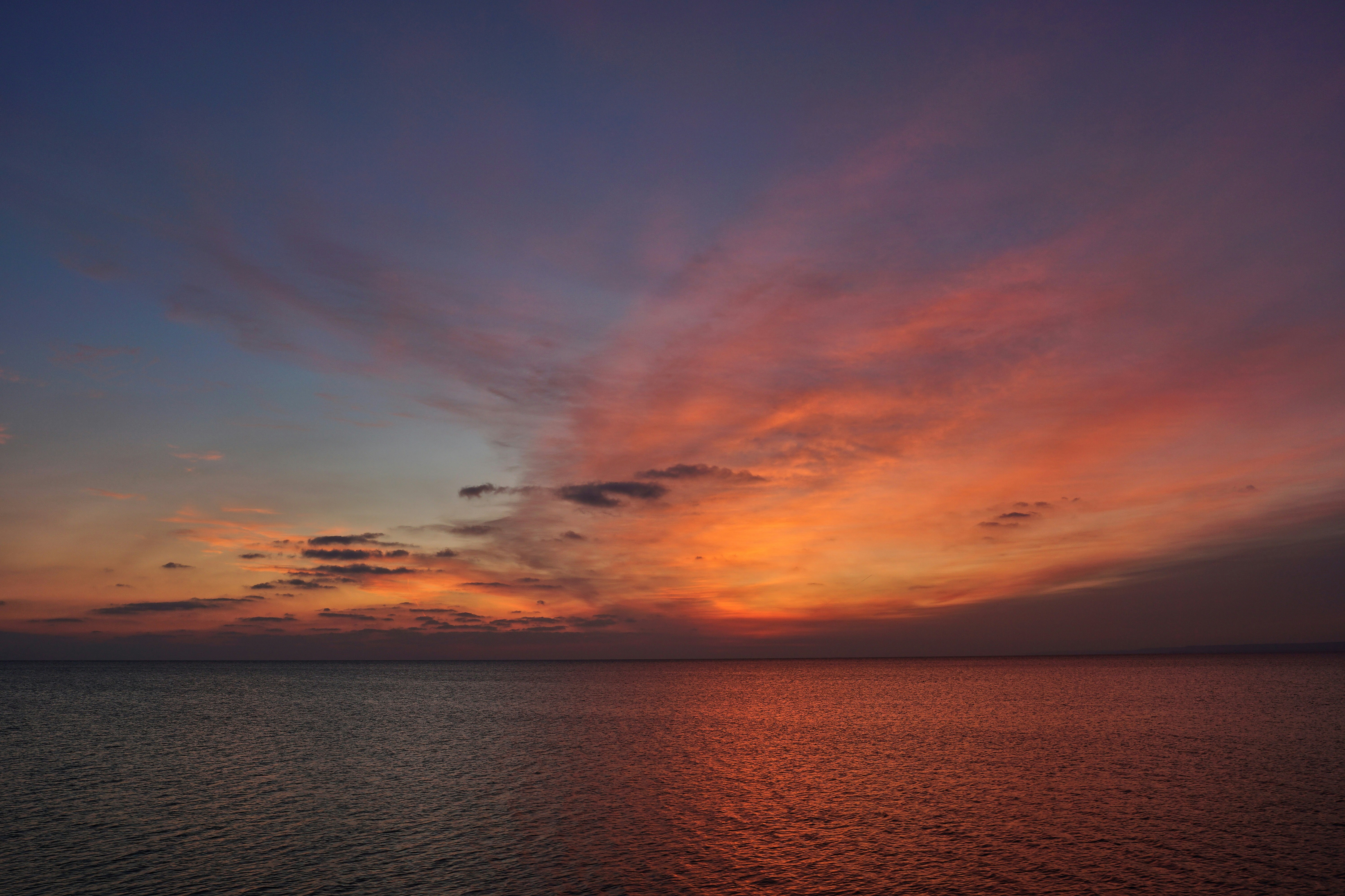 Photo by wolfgang_hasselmann