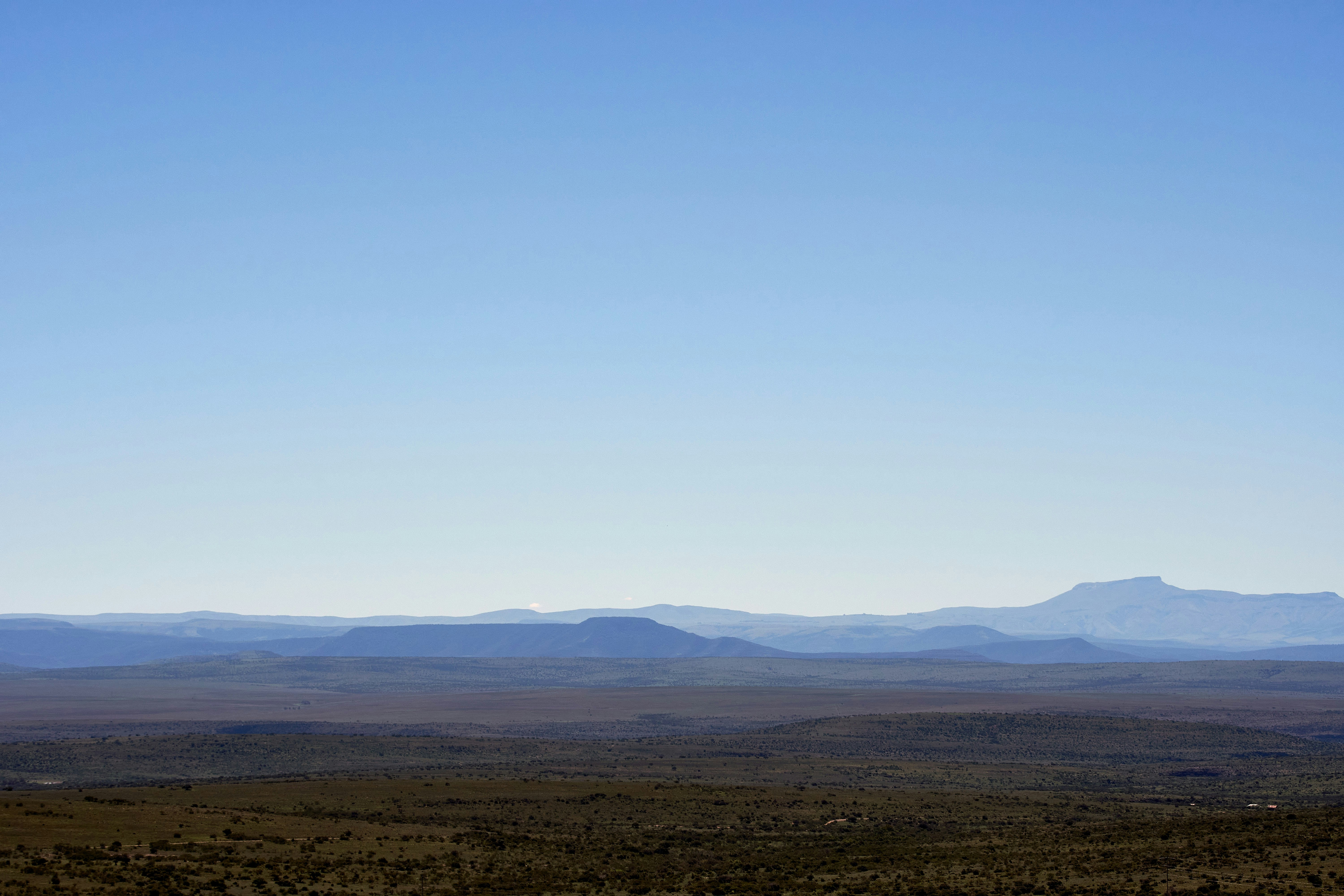 Photo by wolfgang_hasselmann