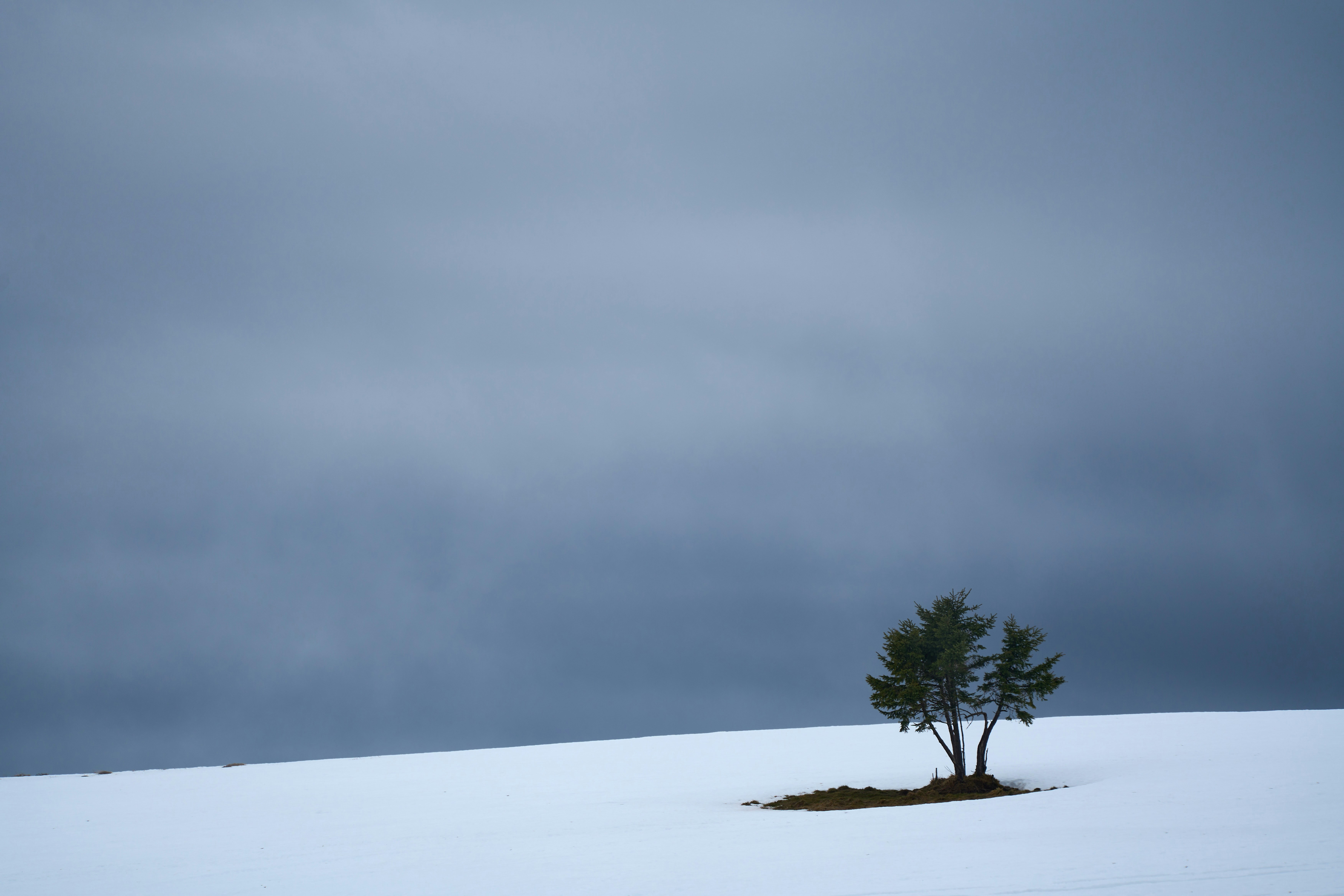 Photo by wolfgang_hasselmann