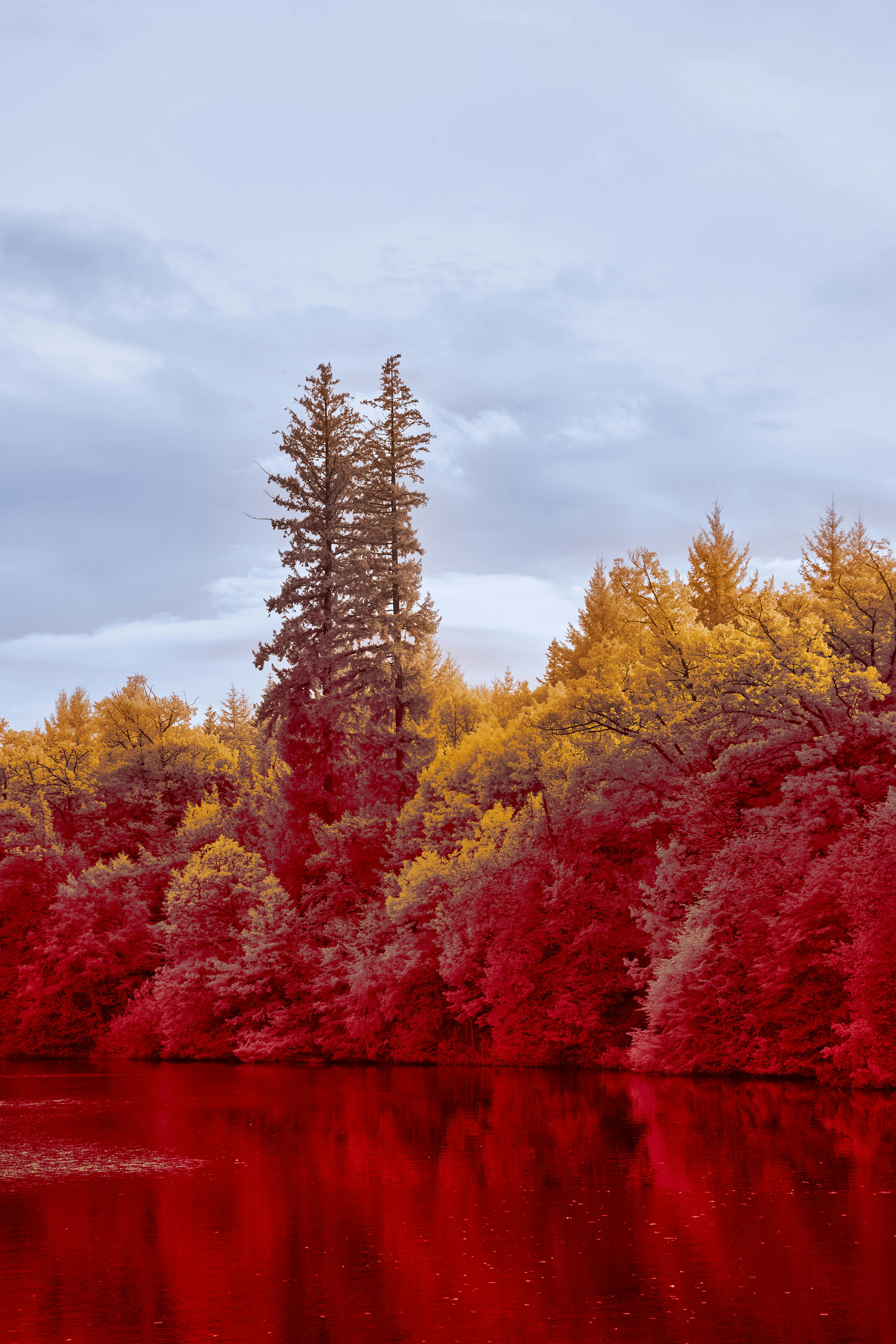 Photo by wolfgang_hasselmann