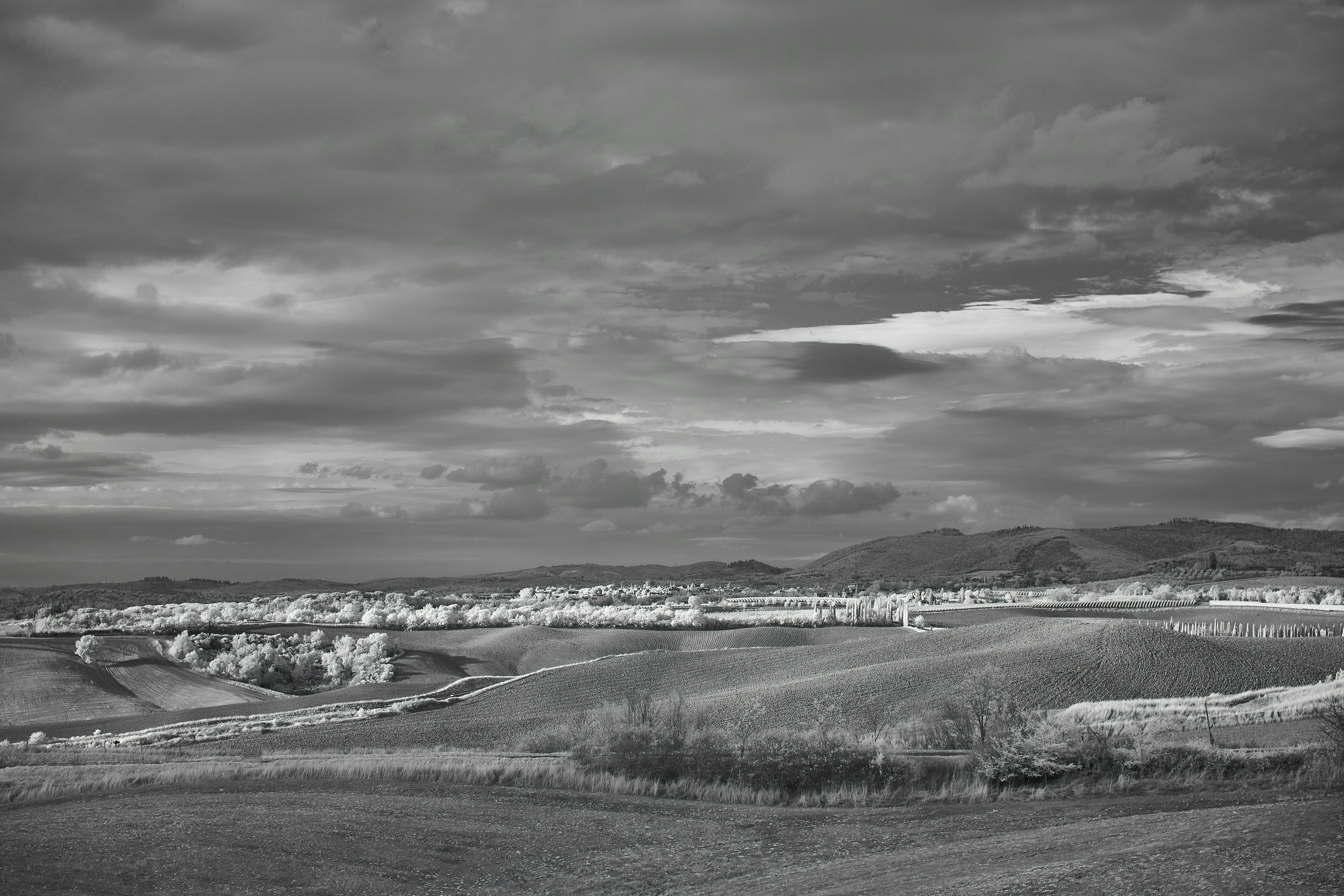 Photo by wolfgang_hasselmann