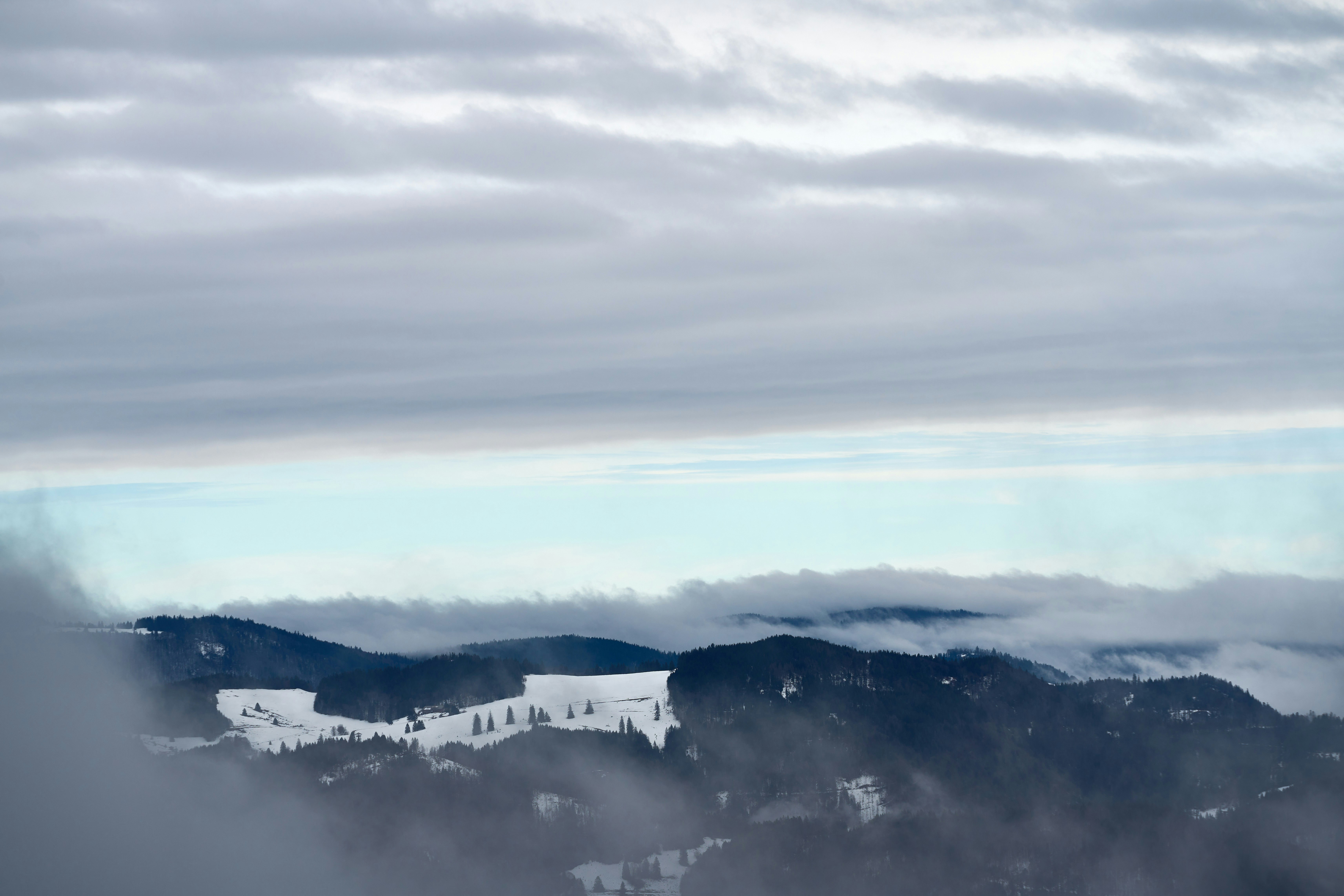 Photo by wolfgang_hasselmann