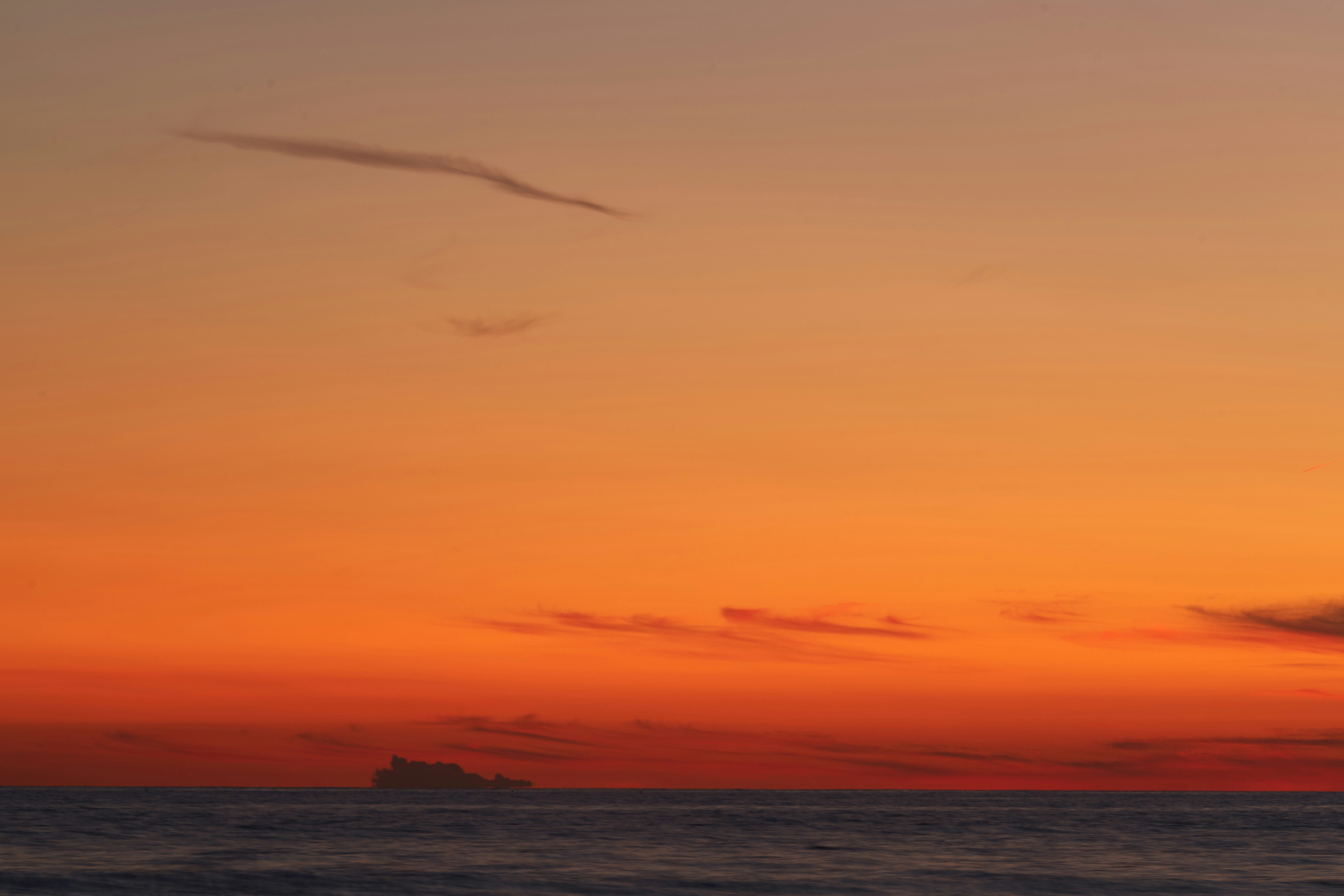 Photo by wolfgang_hasselmann