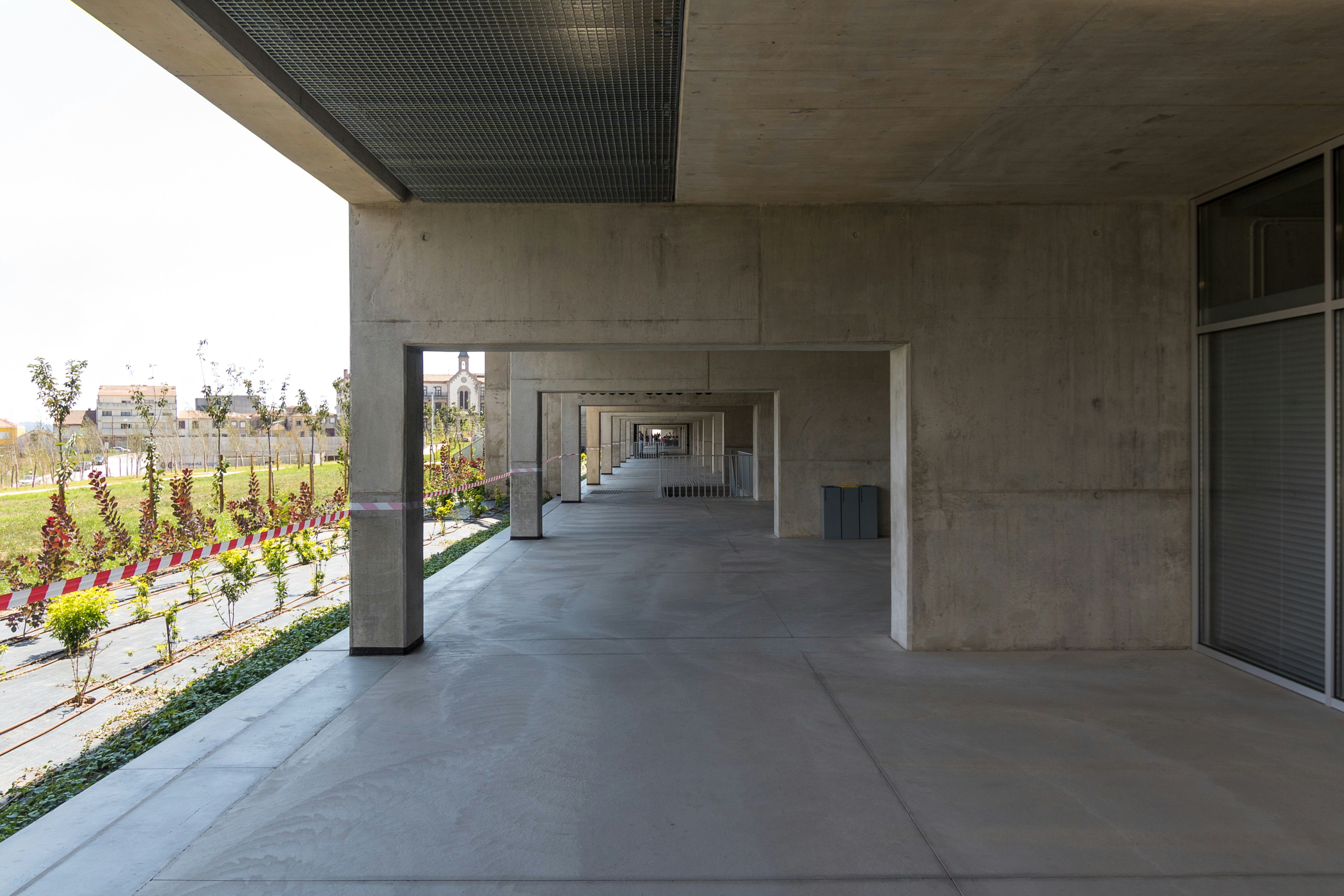 a walkway with flowers and plants