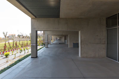 a walkway with flowers and plants