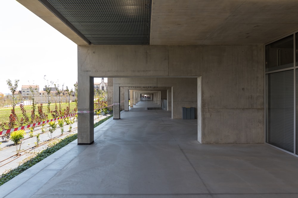 a walkway with flowers and plants