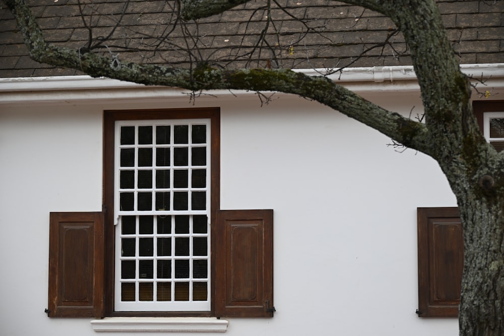 a tree in front of a house