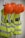 Several bright orange hard hats and fluorescent yellow safety vests with reflective strips are hanging on hooks on a wall.