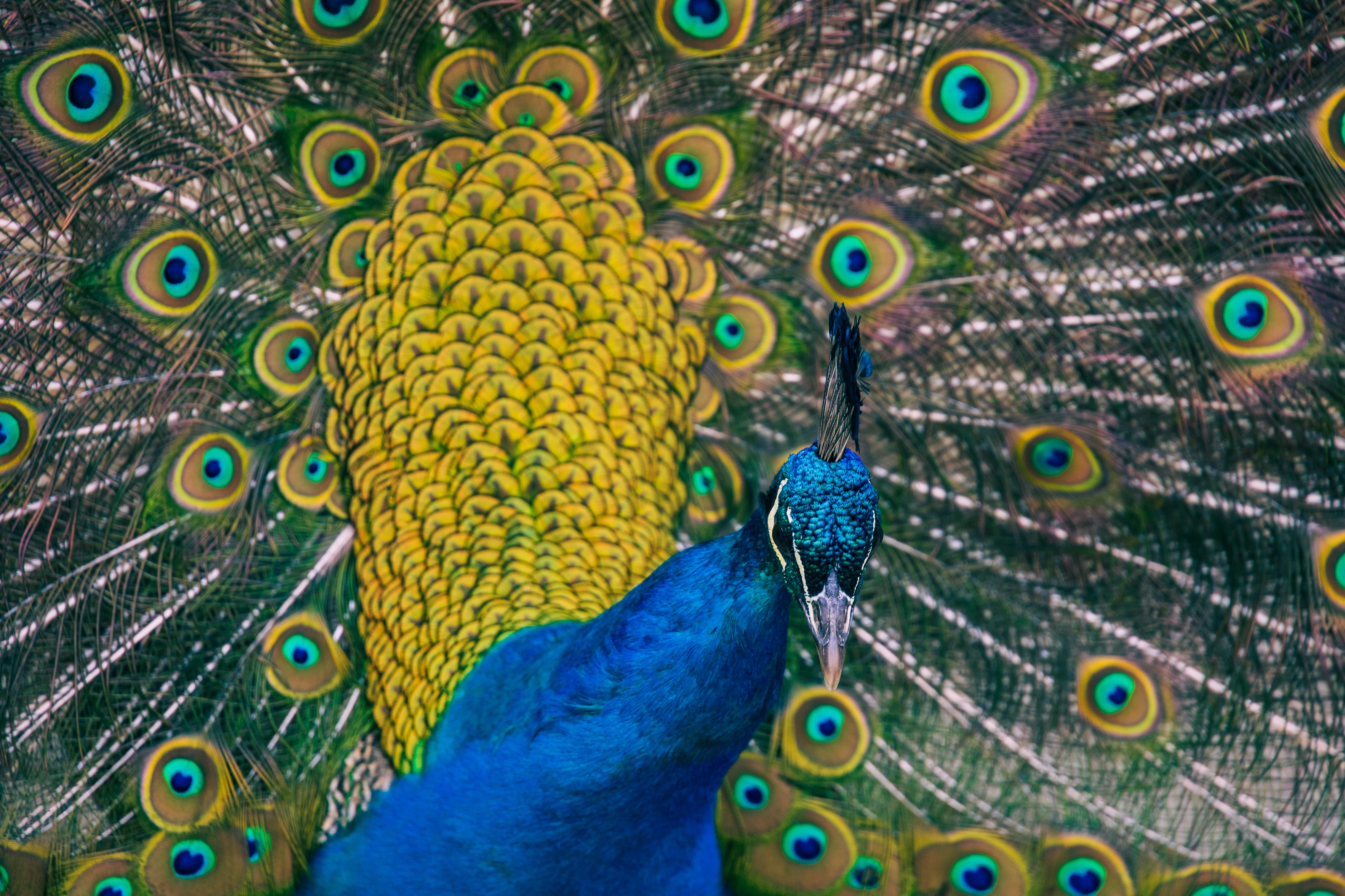 Photo by thomasbormans