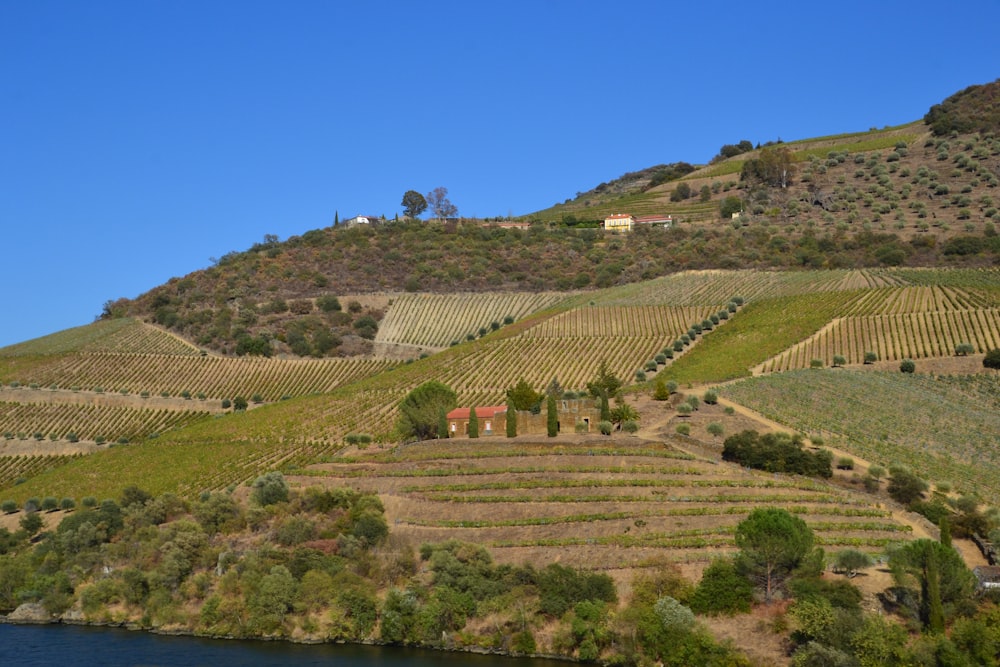 a large green landscape