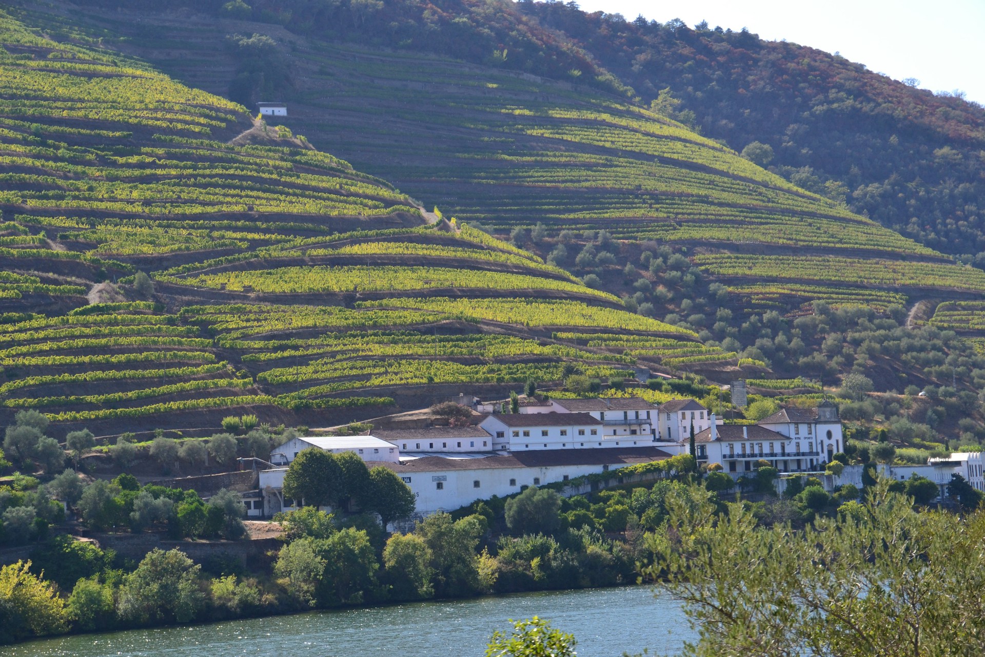 a large white building on a hill