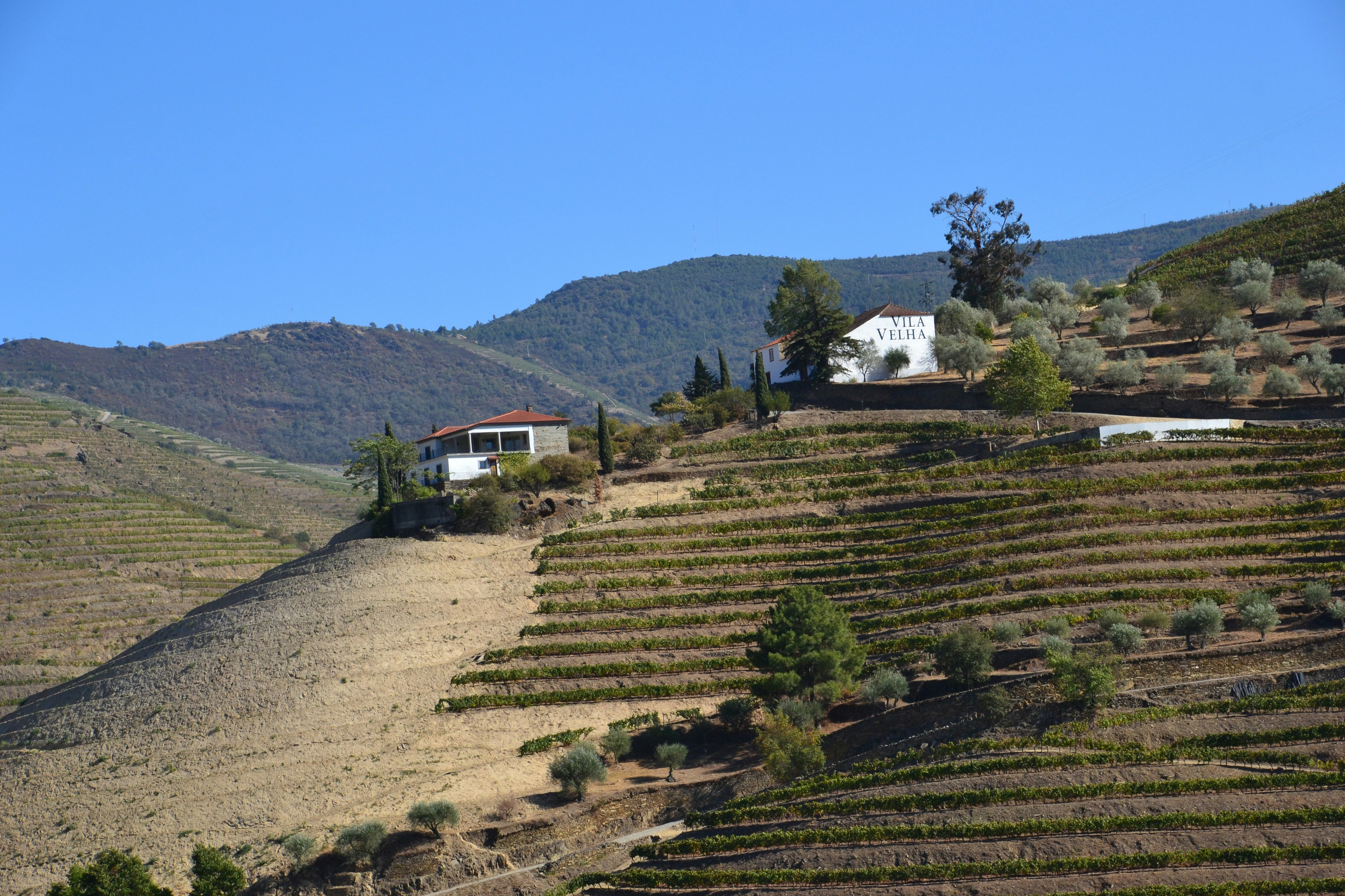 a farm with a house in the distance