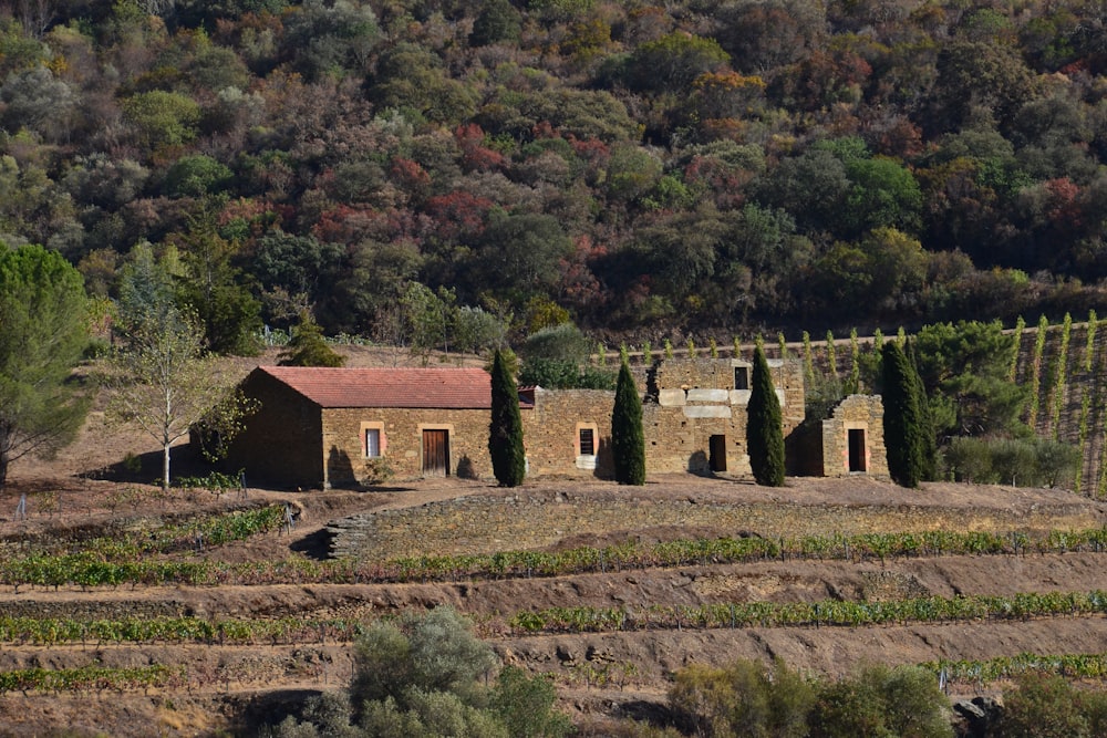 a building in a field