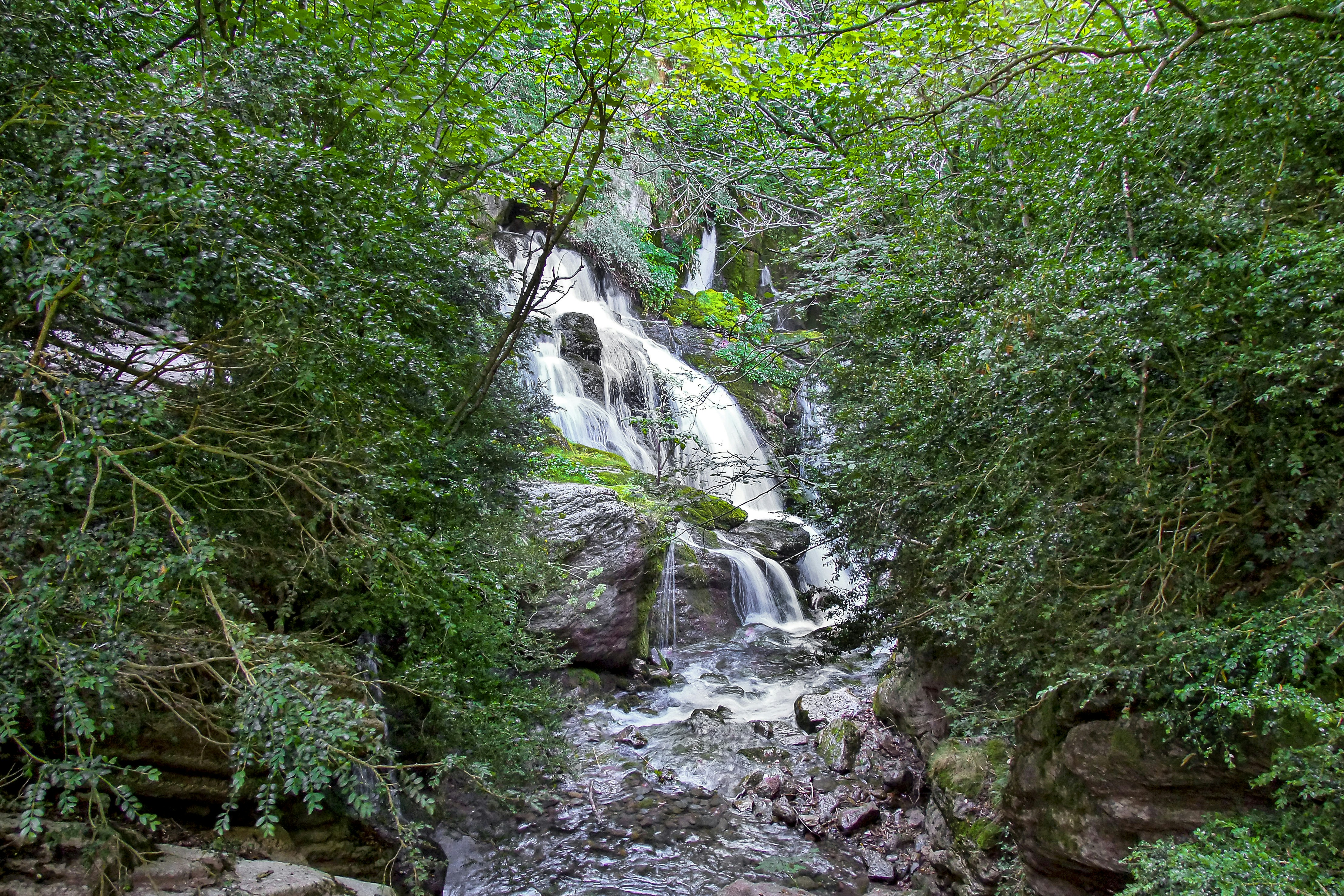 a waterfall in a forest