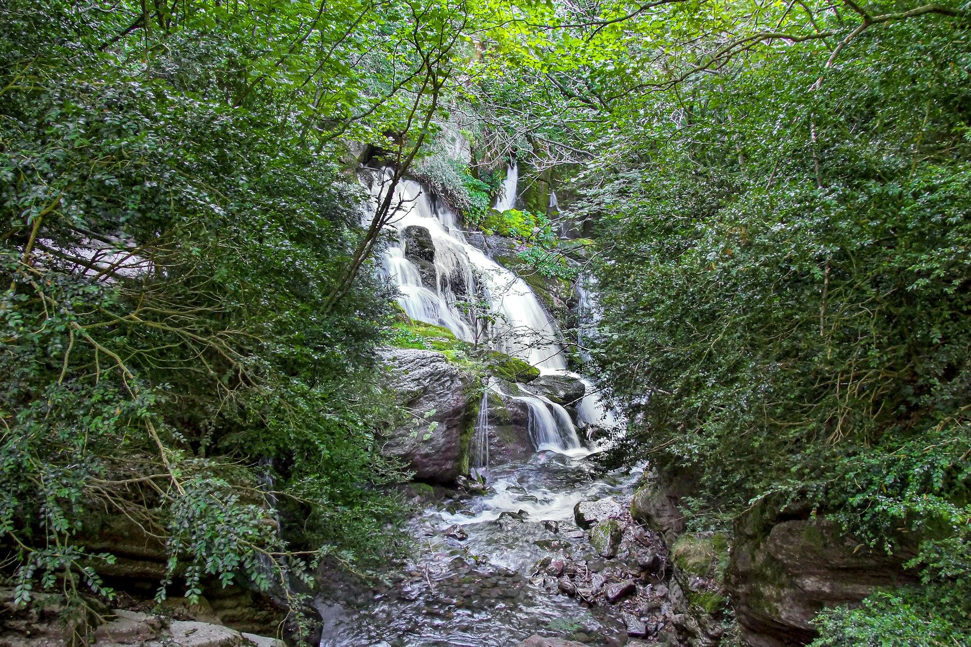 a waterfall in a forest